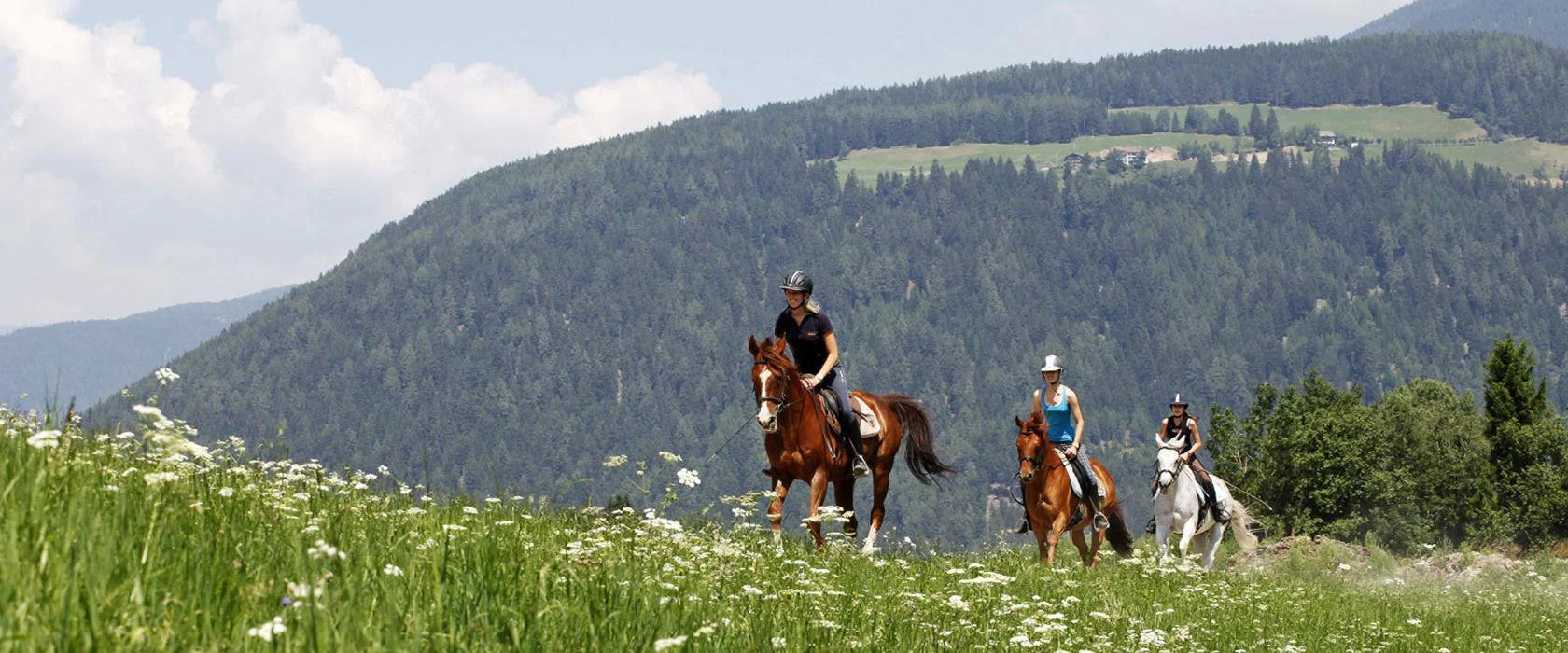 Maneggio Tharerhof Valdaora 4 suedtirol.info