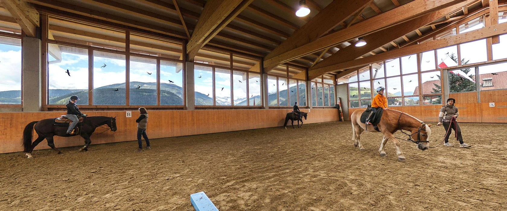 Maneggio Tharerhof Valdaora 7 suedtirol.info