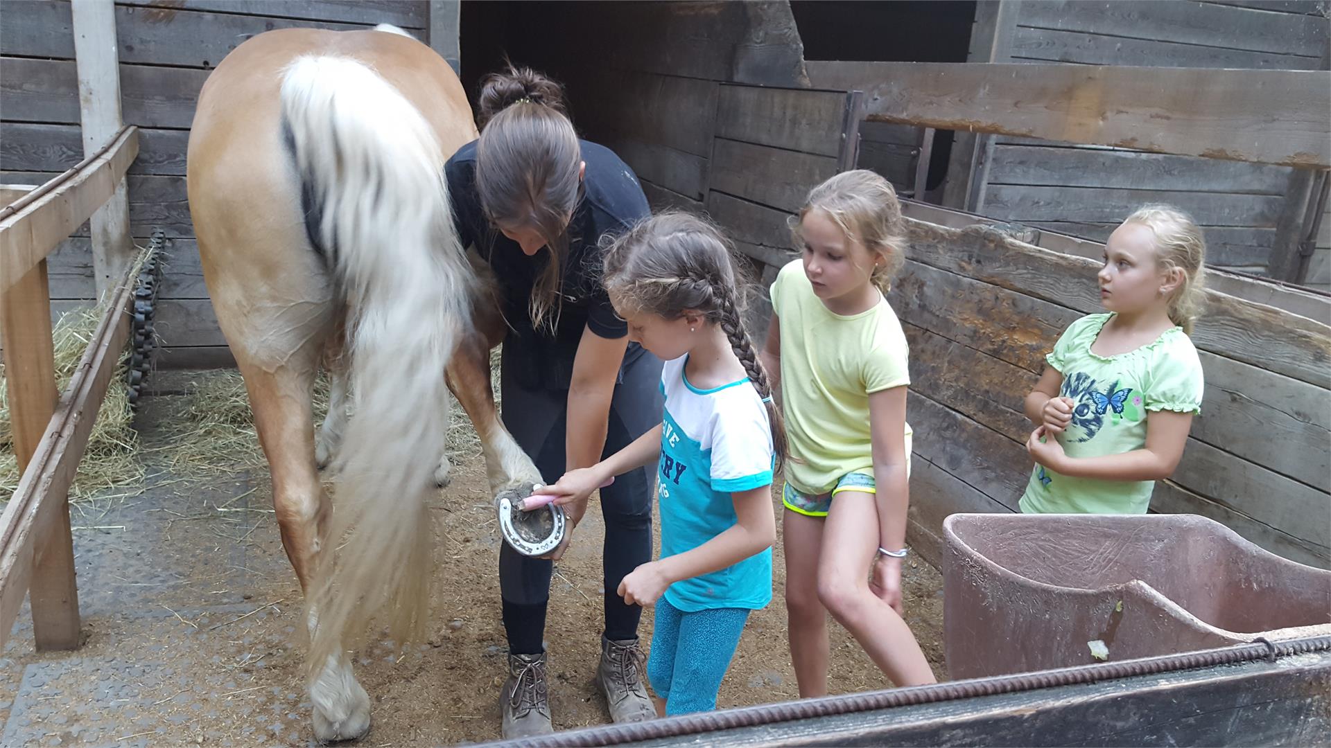 Horse riding stable in Nalles Tisens/Tesimo 5 suedtirol.info