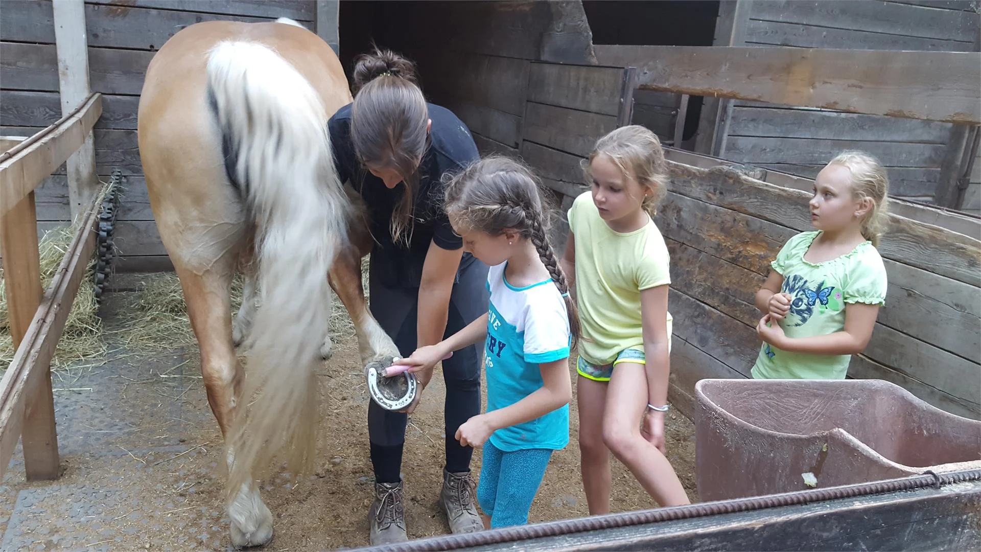 Horse riding stable in Nalles Nals/Nalles 4 suedtirol.info