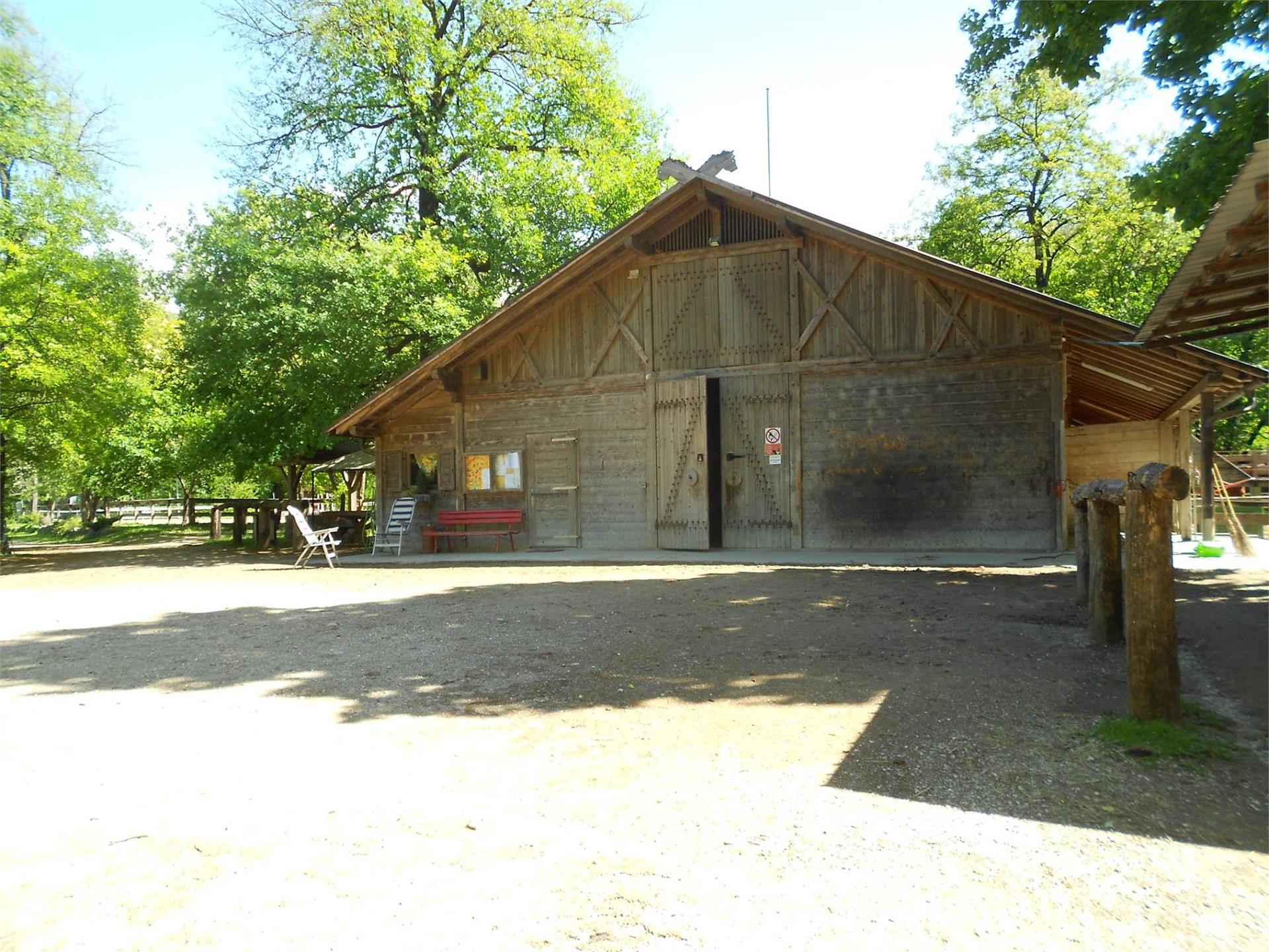 Horse riding stable in Nalles Tisens/Tesimo 4 suedtirol.info
