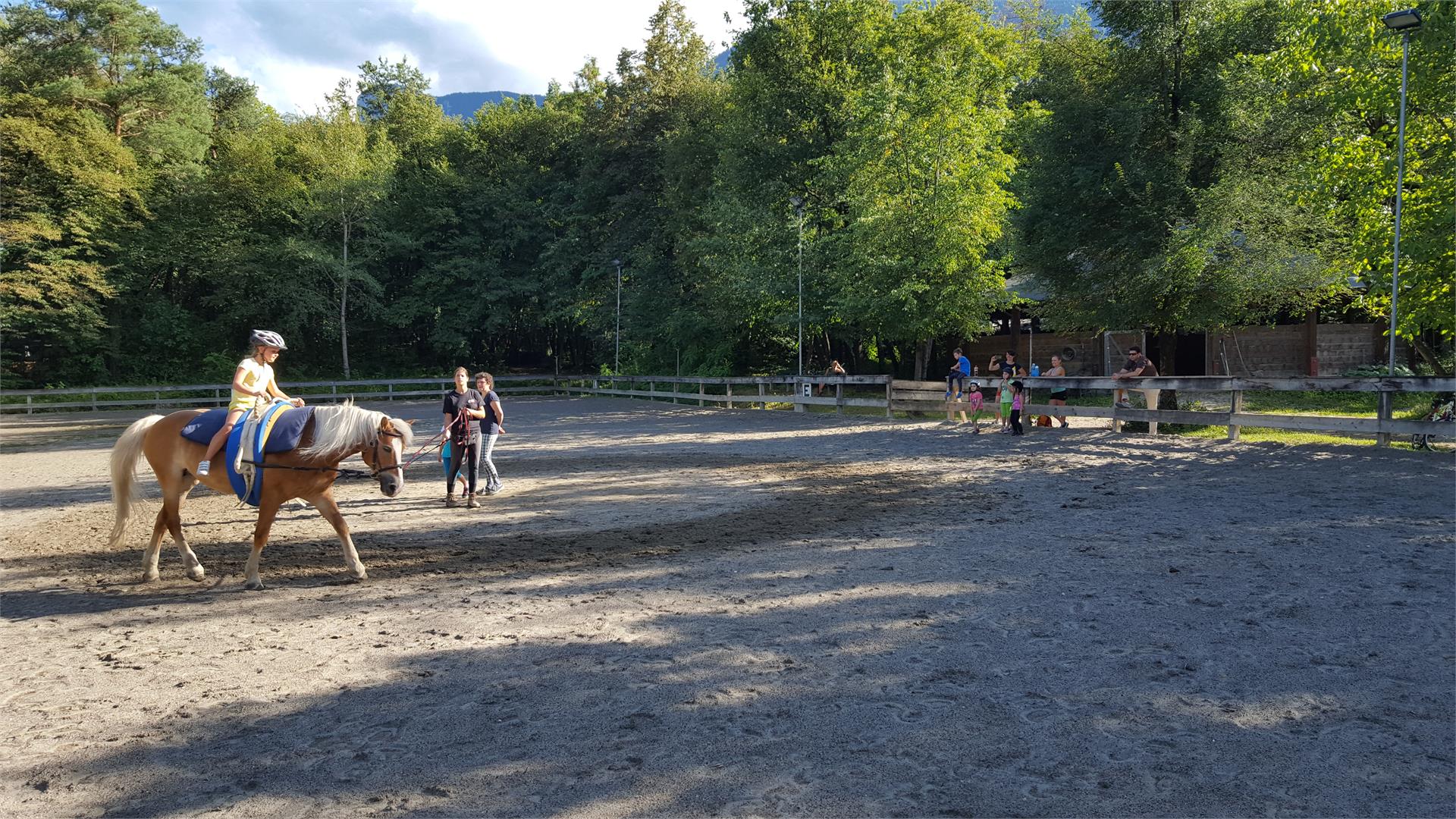 Horse riding stable in Nalles Tisens/Tesimo 7 suedtirol.info