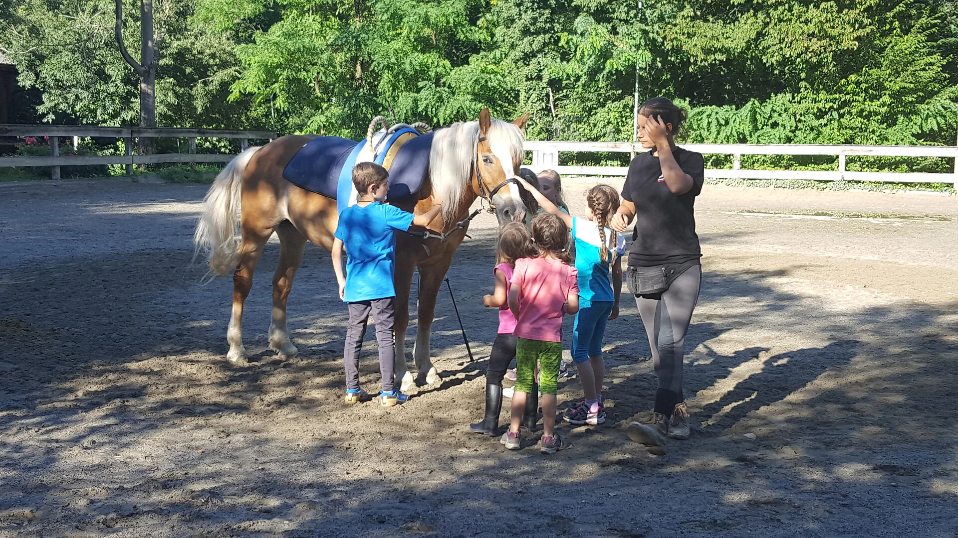 Horse riding stable in Nalles Nals/Nalles 7 suedtirol.info