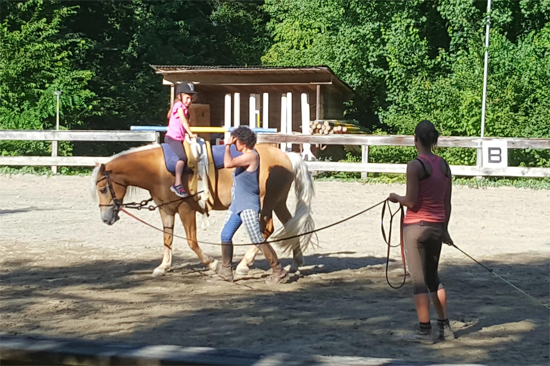Horse riding stable in Nalles Tisens/Tesimo 1 suedtirol.info