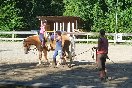 Horse riding stable in Nalles  1 suedtirol.info
