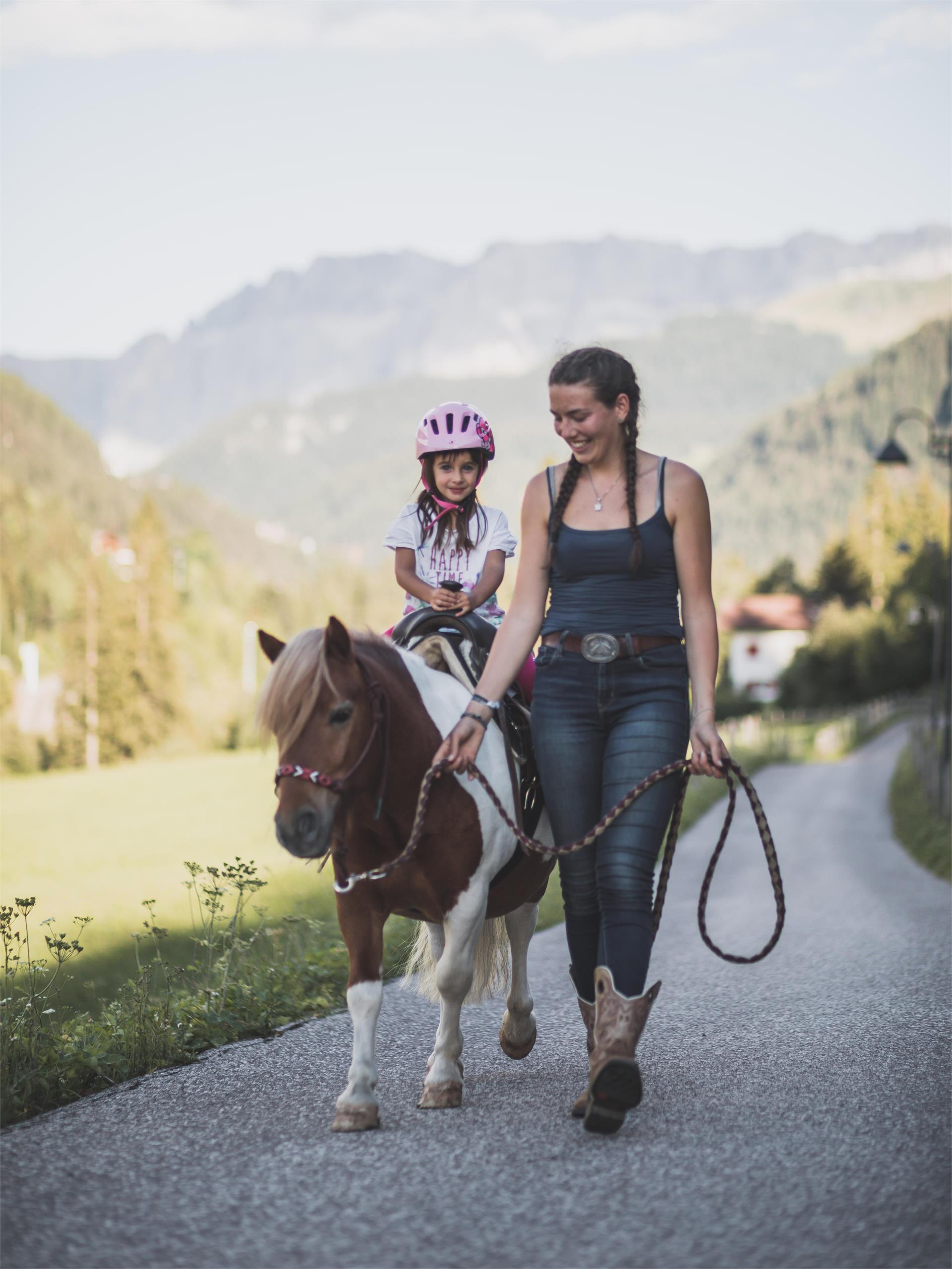 Maneggio Minert Ortisei 16 suedtirol.info