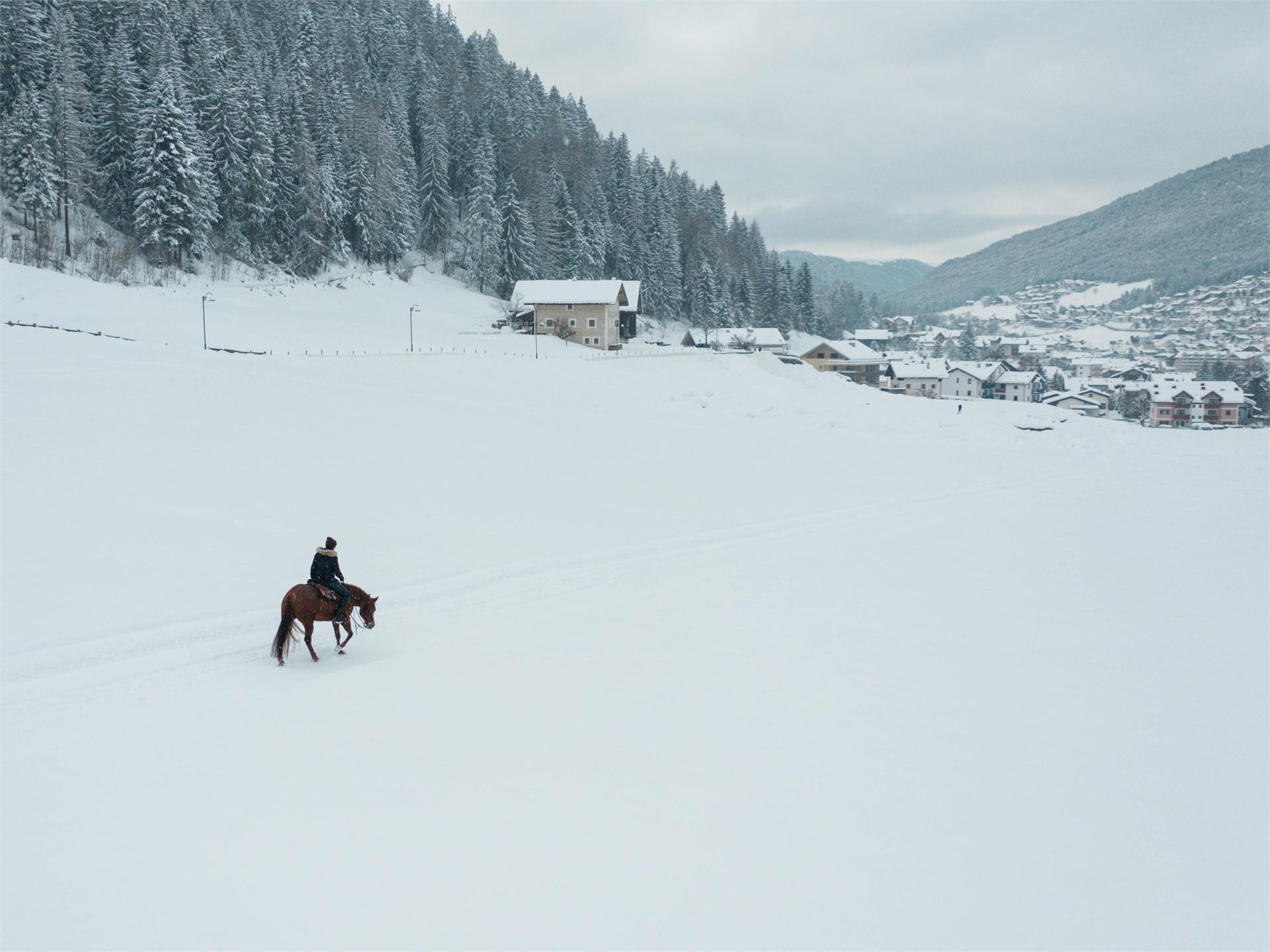 Maneggio Minert Ortisei 3 suedtirol.info