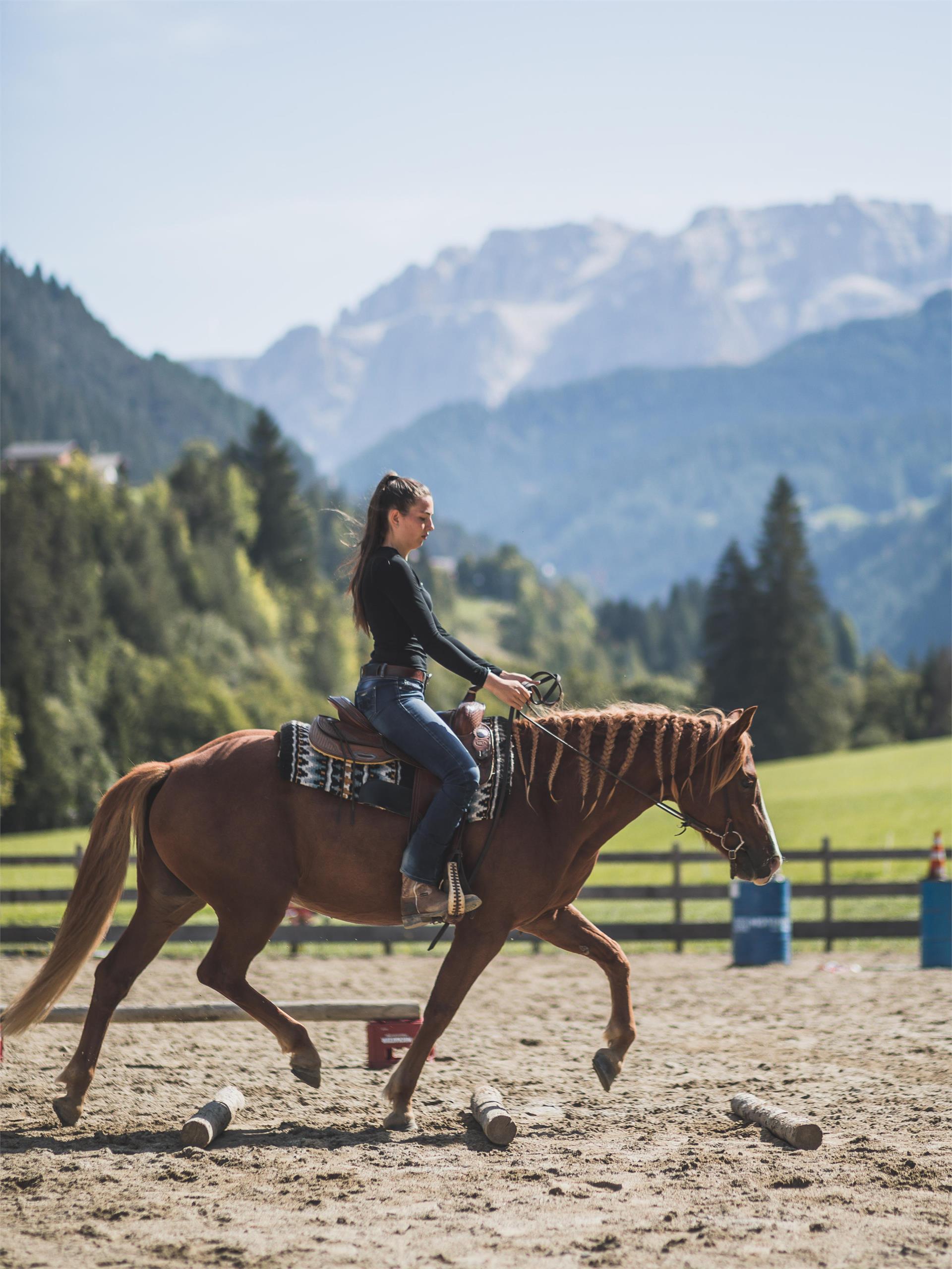 Maneggio Minert Ortisei 13 suedtirol.info