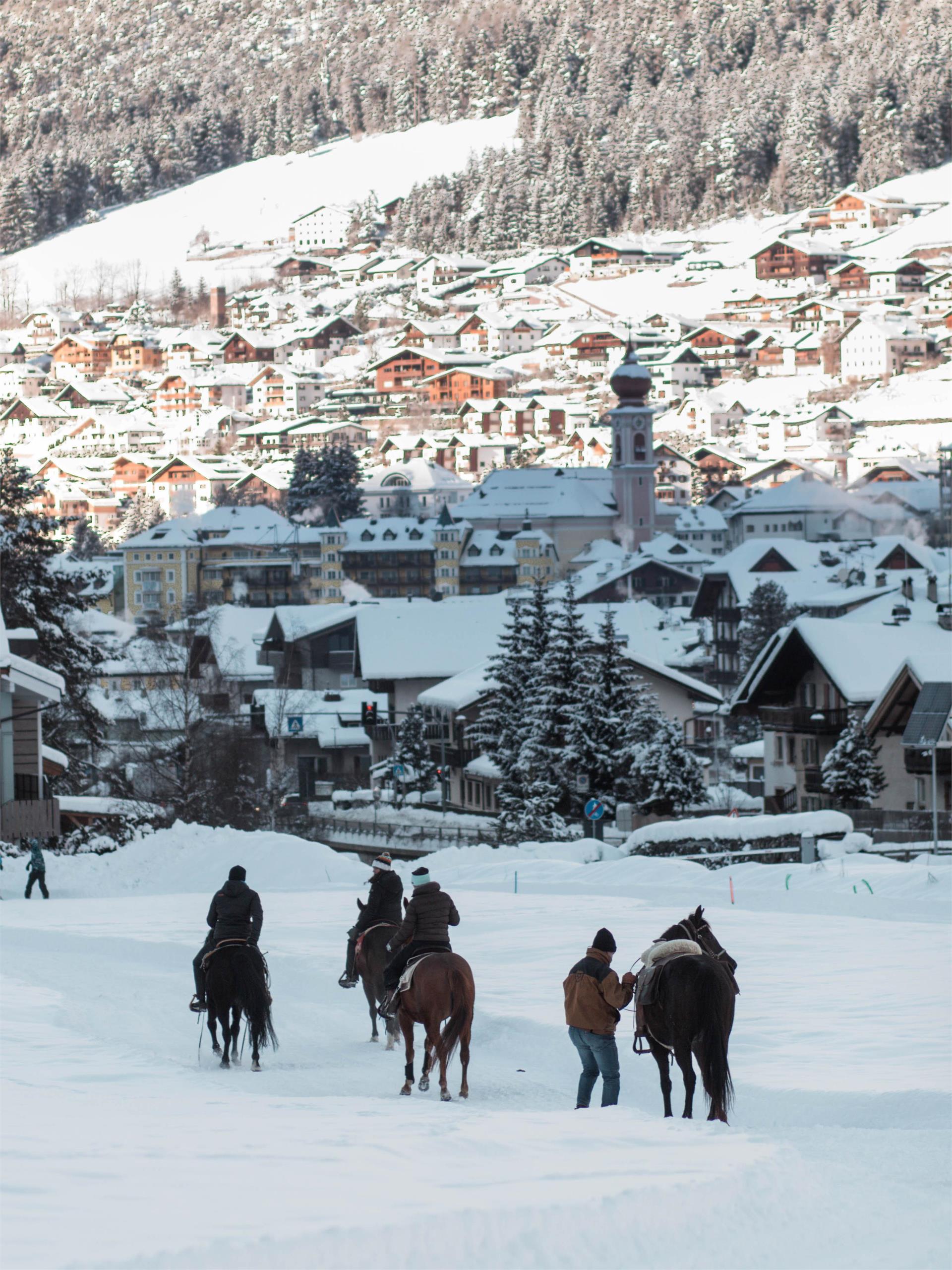 Maneggio Minert Ortisei 11 suedtirol.info