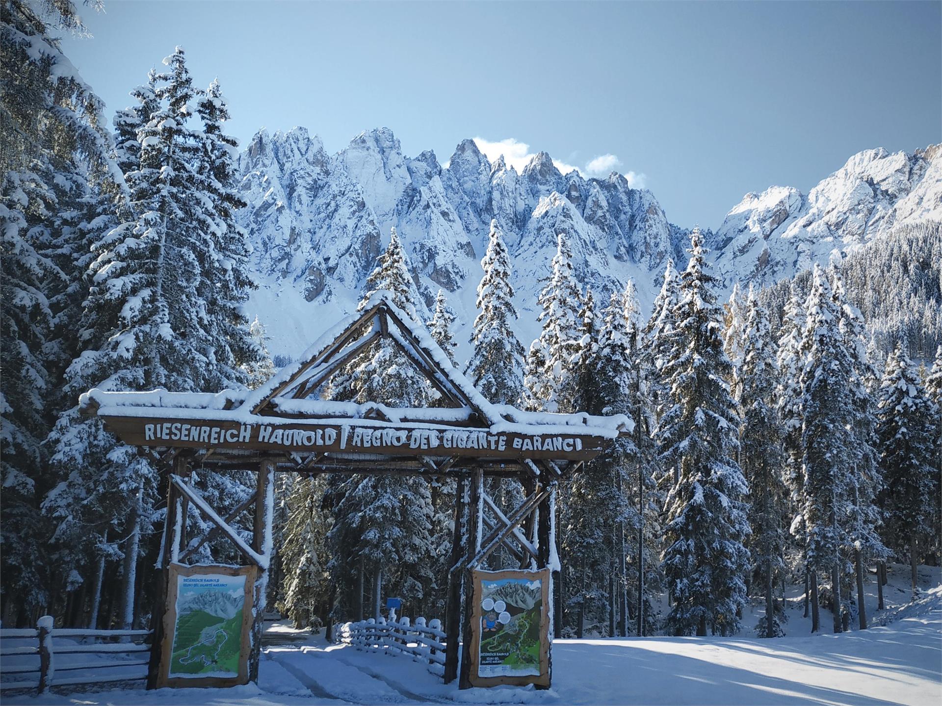 Regno del Gigante Baranci San Candido 1 suedtirol.info