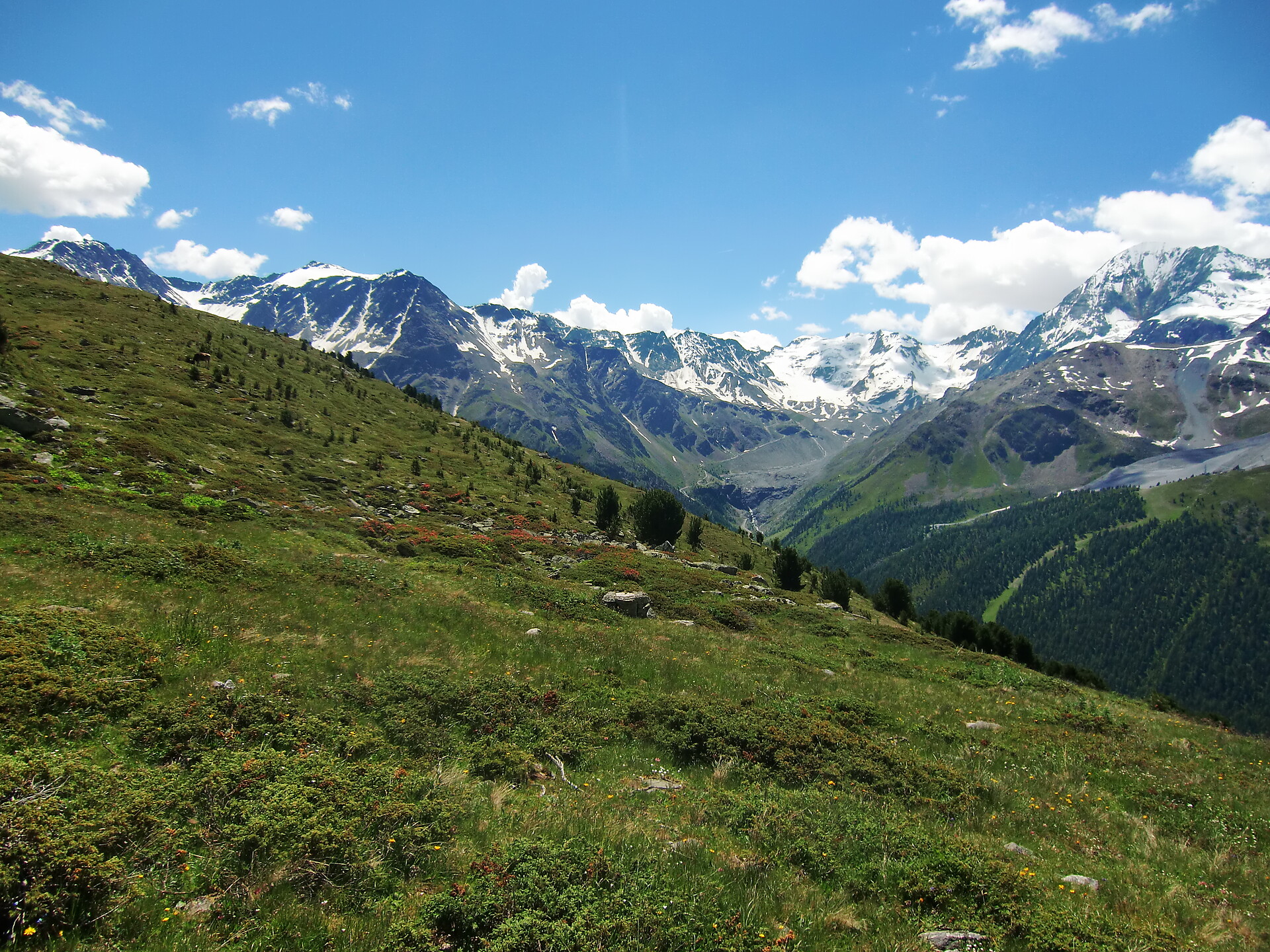 Panorama in Sulden/Solda