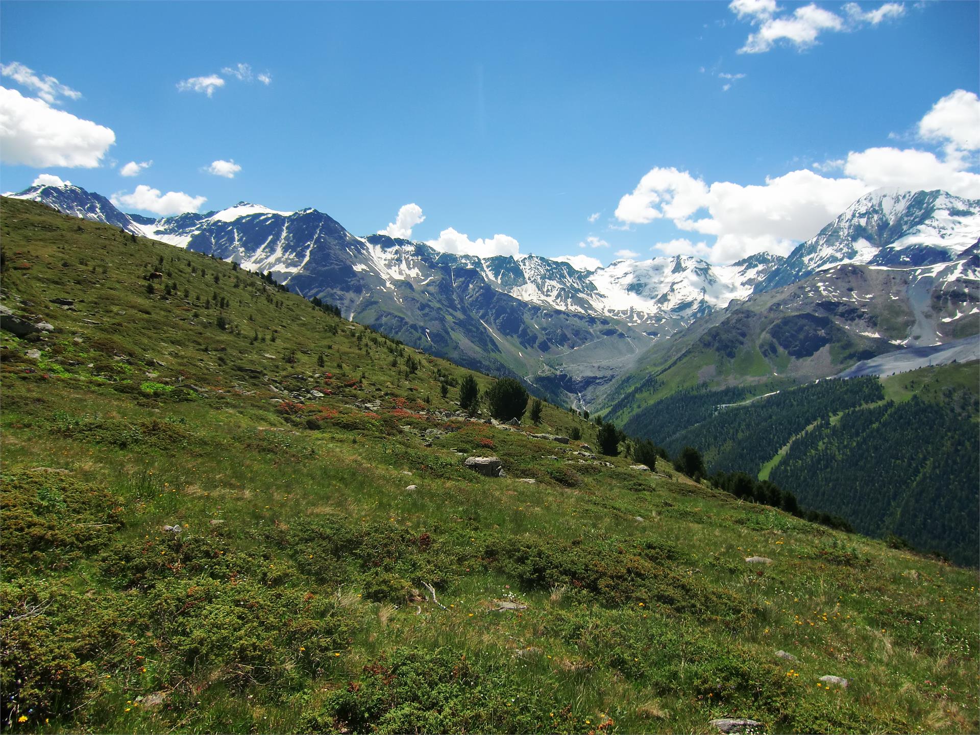 Rosim plateau in Sulden/Solda Stilfs/Stelvio 1 suedtirol.info