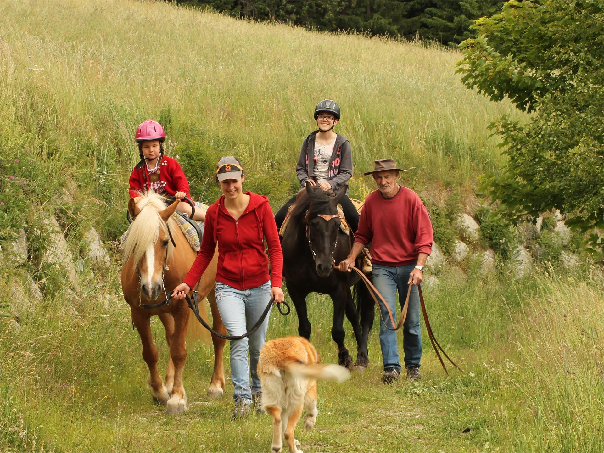 Reitstall "Sun Ranch" Sonnenhof Gsies 1 suedtirol.info