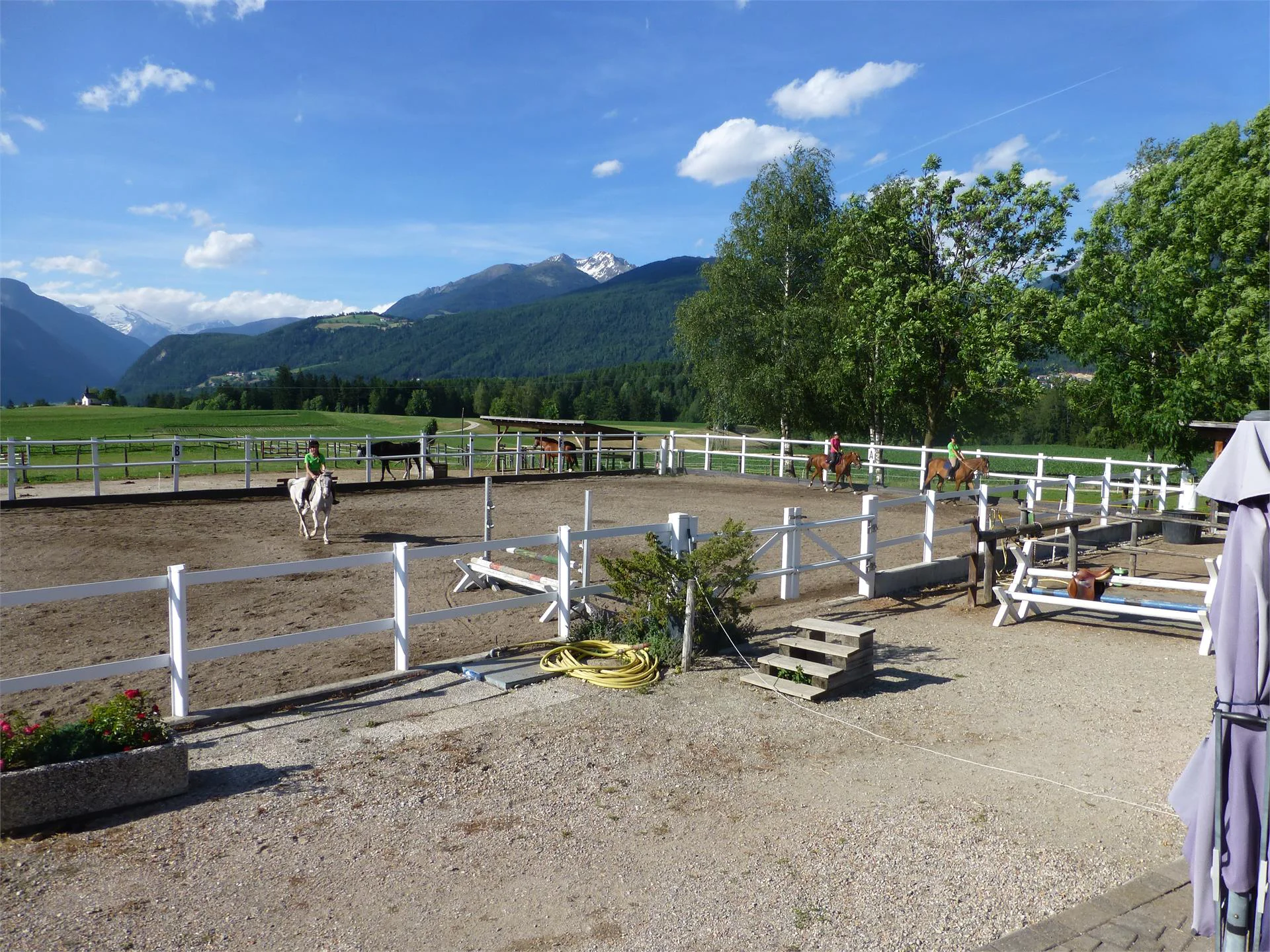 Equestrian farm Lechnerhof Bruneck/Brunico 2 suedtirol.info