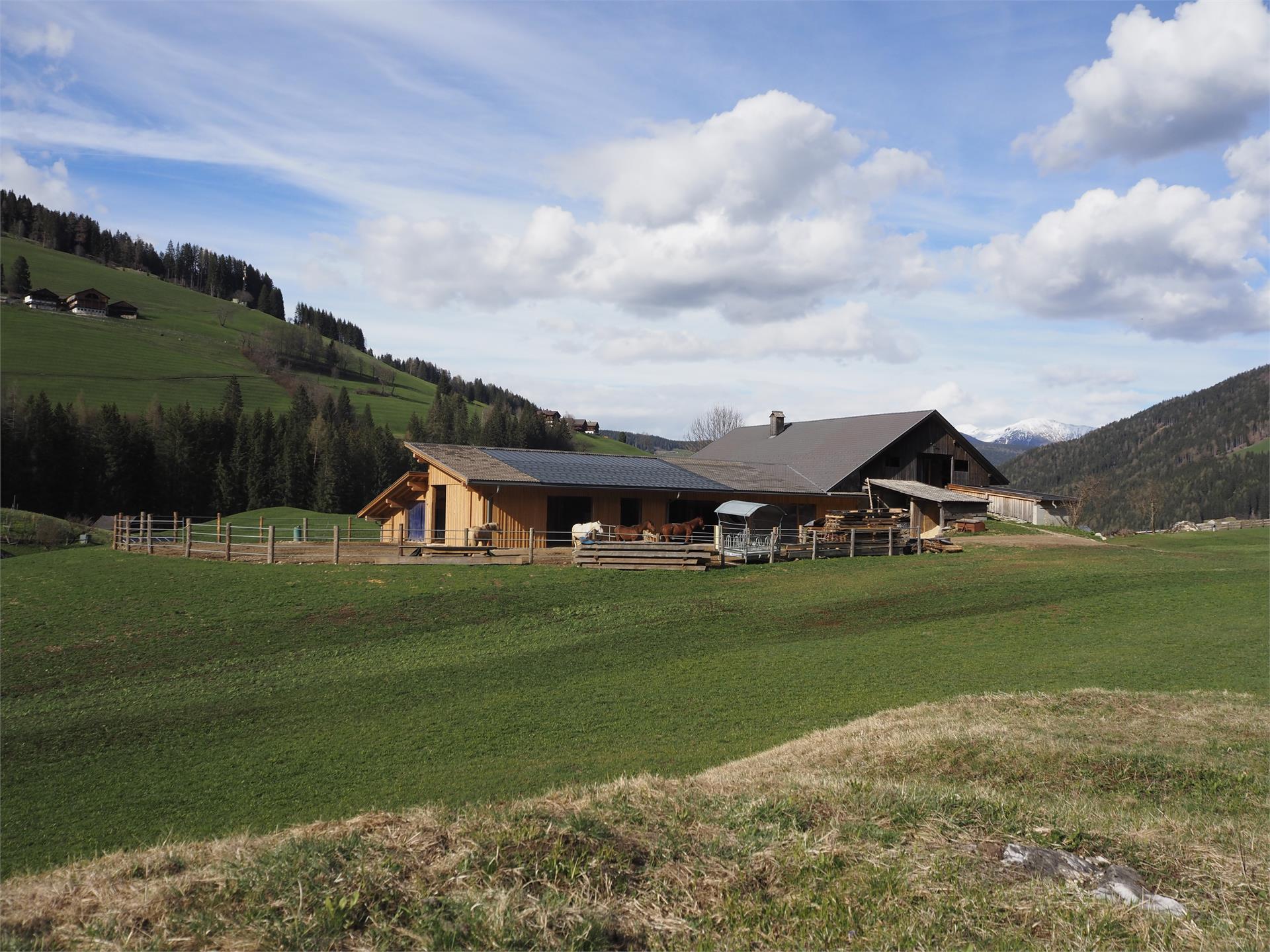 Reitstall "Bodnerhof" Prags 1 suedtirol.info