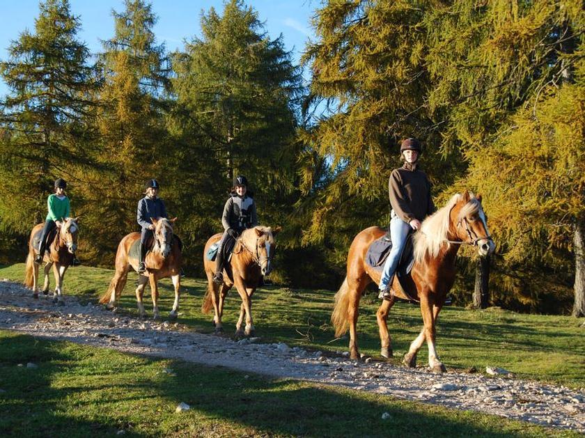 Equitazione al maso Oberfahrerhof Meltina 1 suedtirol.info