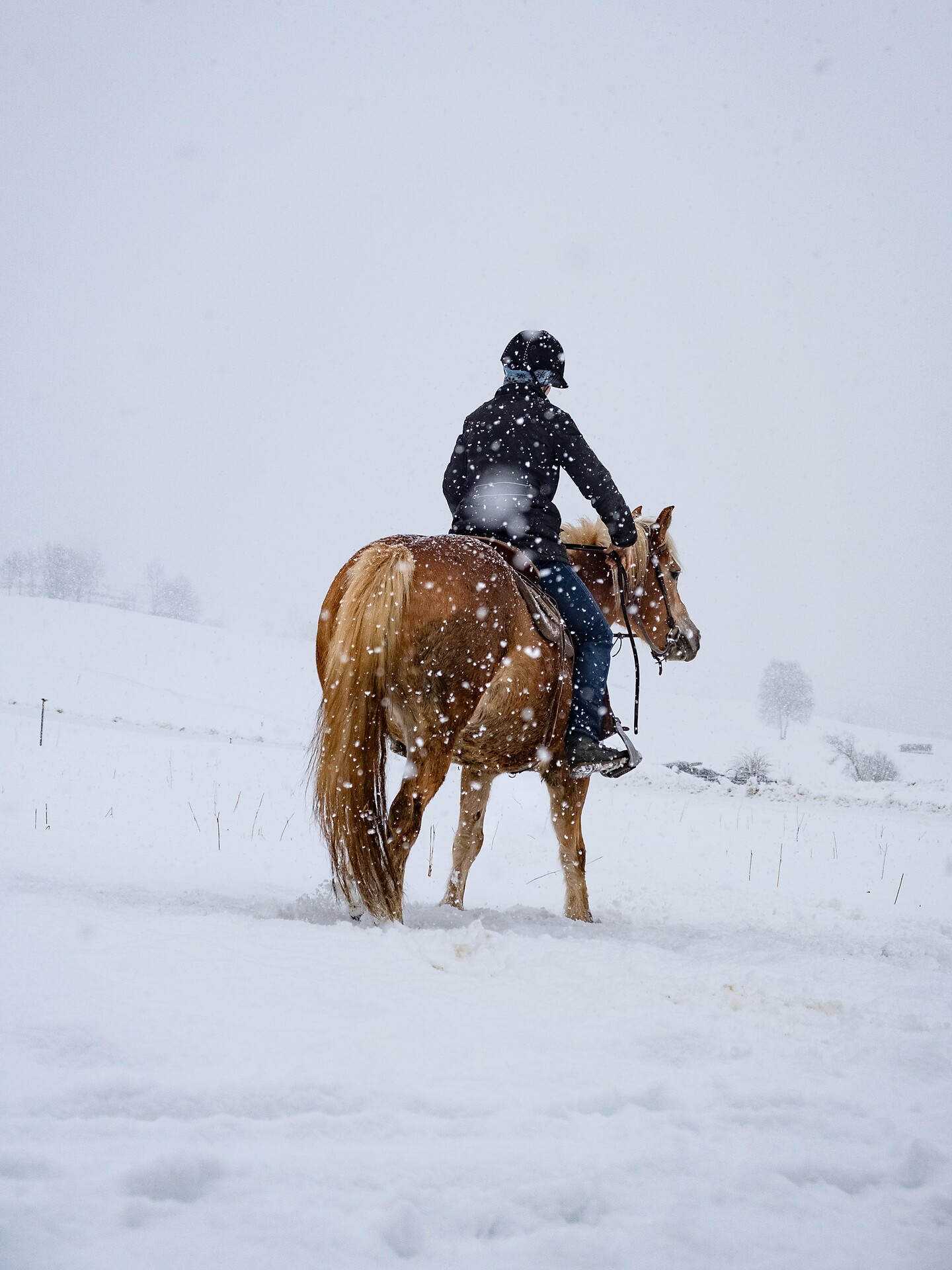 Reiten in Taufers im Münstertal - Vinschgau - #1 - suedtirol.info