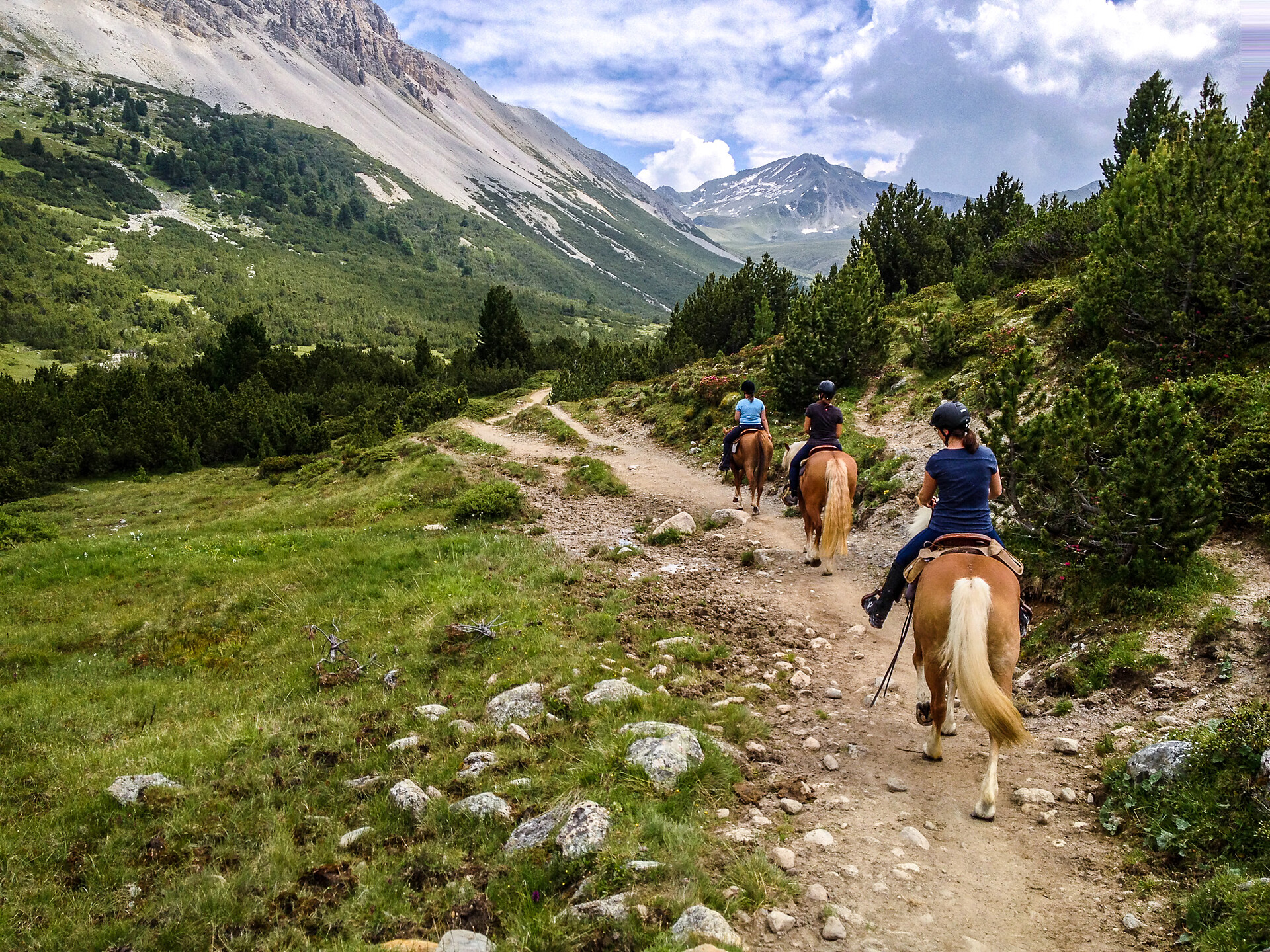 Reiten in Taufers im Münstertal - Vinschgau - #4 - suedtirol.info