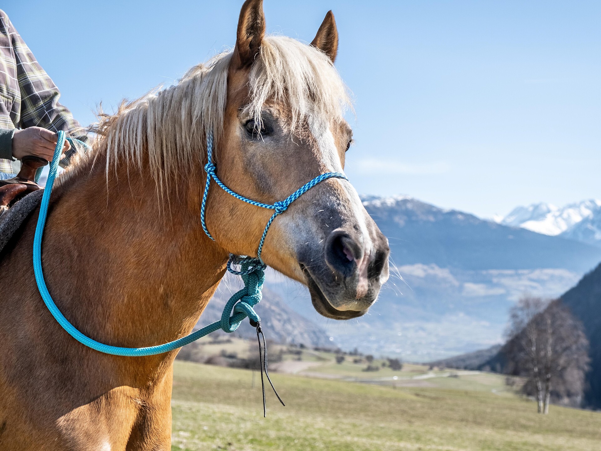 Reiten in Taufers im Münstertal - Vinschgau - #3 - suedtirol.info