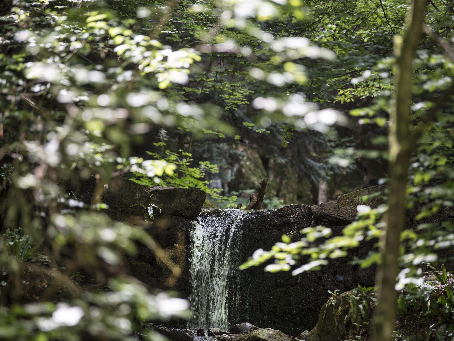 Rastenbachklamm Kaltern an der Weinstraße 6 suedtirol.info