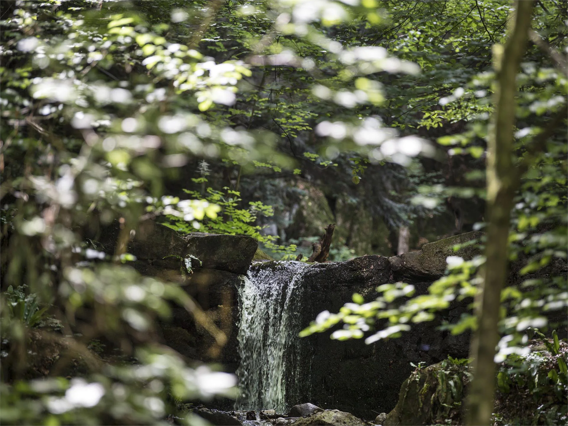 Rastenbach Gorge Kaltern an der Weinstraße/Caldaro sulla Strada del Vino 7 suedtirol.info