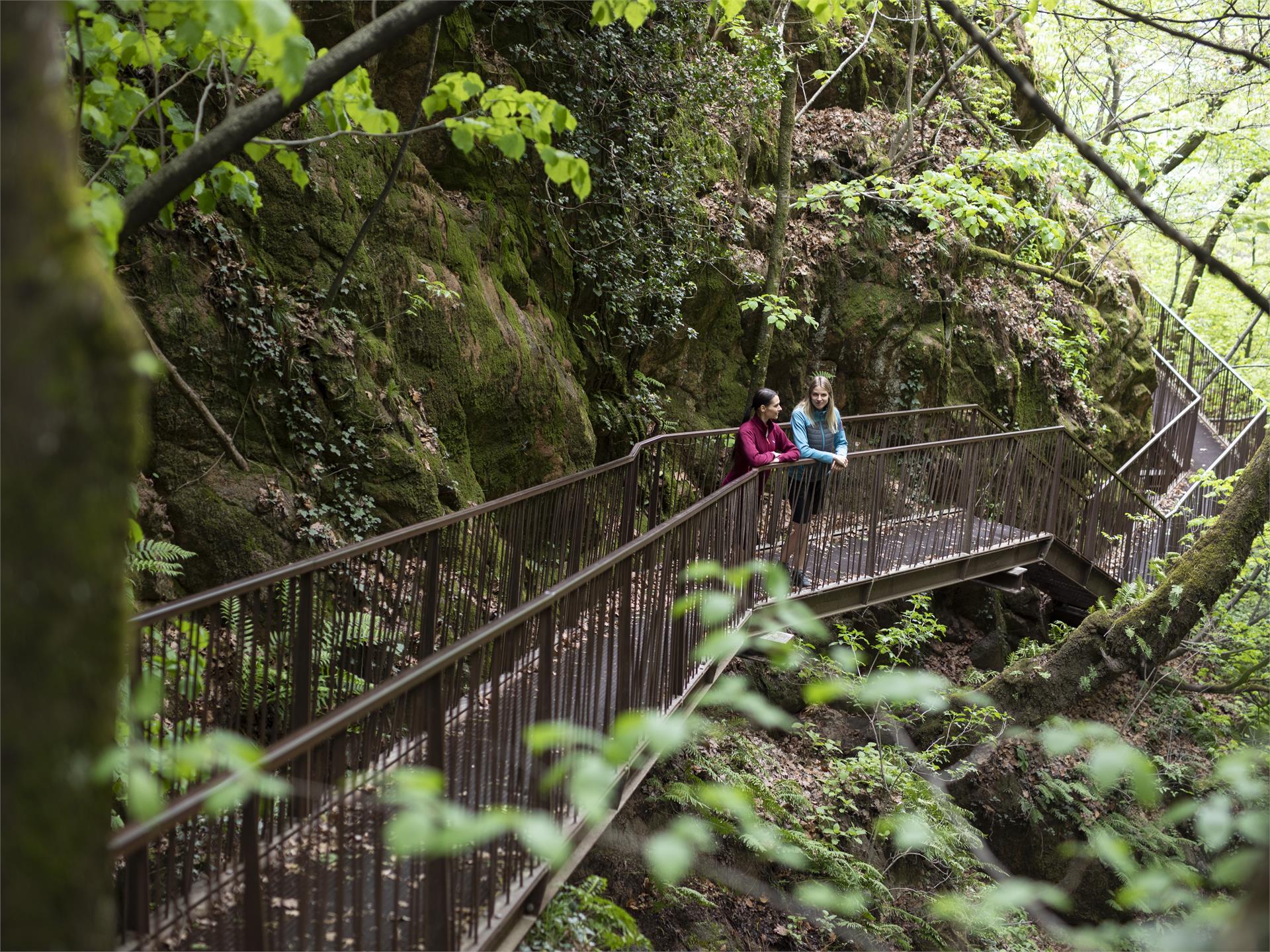 Rastenbachklamm Kaltern an der Weinstraße 3 suedtirol.info