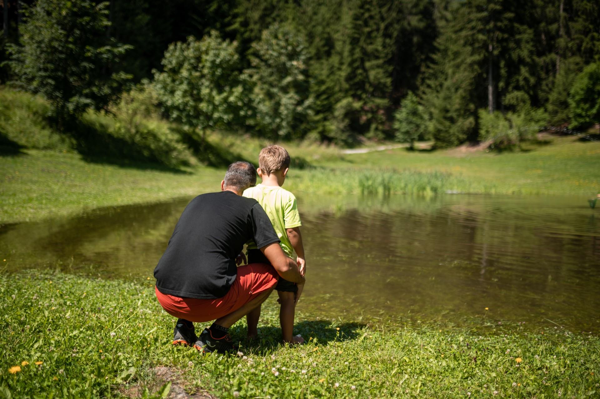 Rofis Boden a Stilves Campo di Trens 1 suedtirol.info