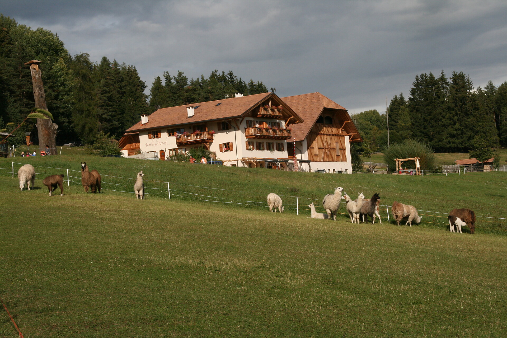 Kaserhof Soprabolzano Renon