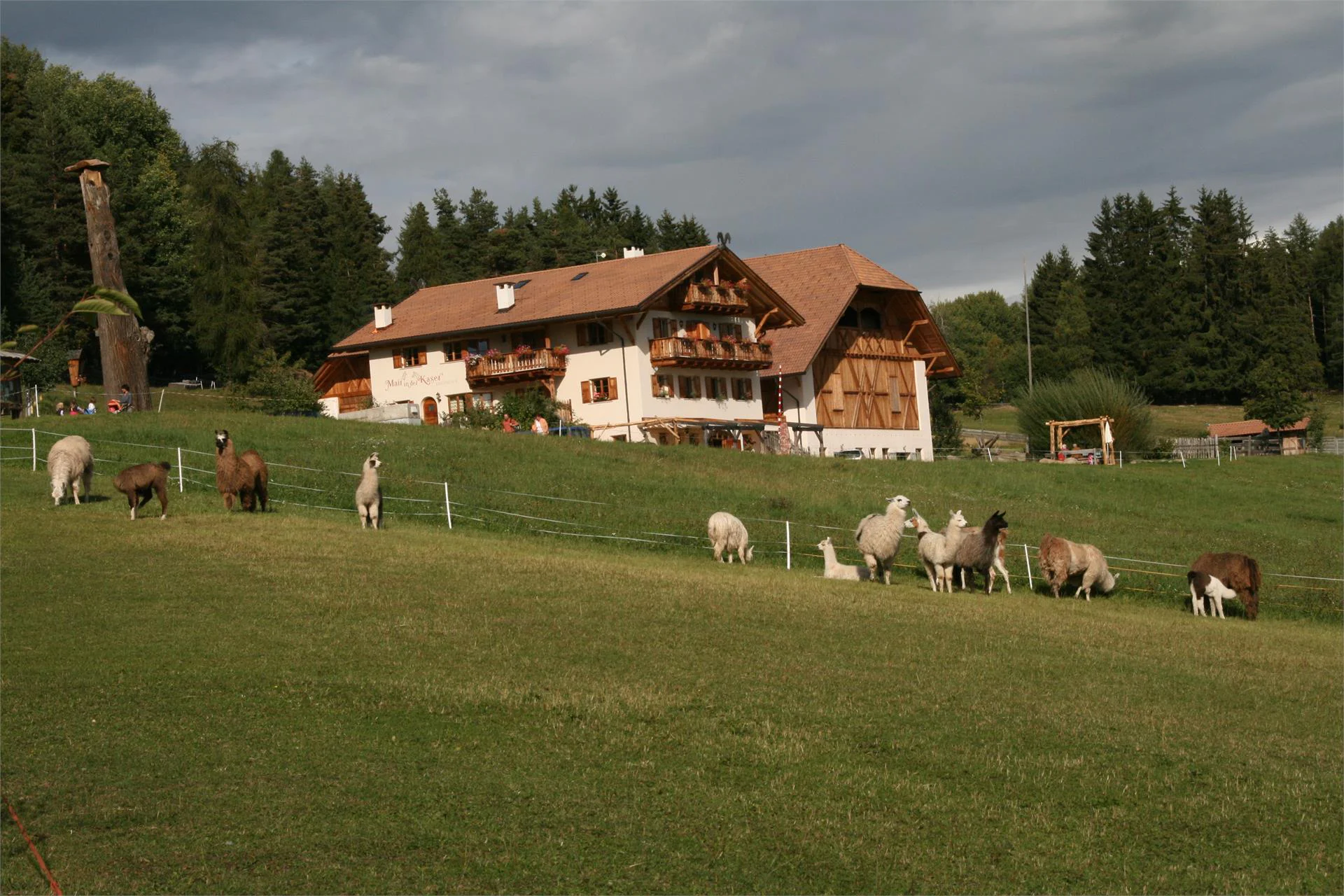 Horse Riding School Kaserhof Ritten/Renon 2 suedtirol.info