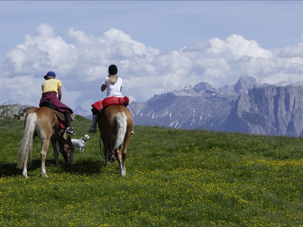 Alpenranch Himmelreich Ritten/Renon 1 suedtirol.info