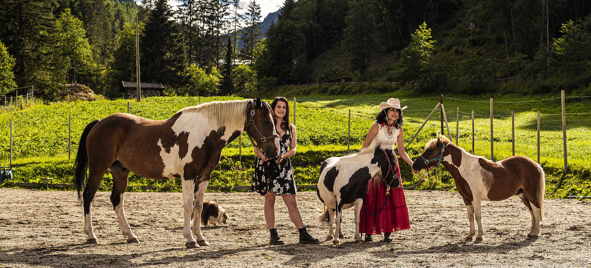 Rona Ranch - Vinschgau - #2 - suedtirol.info