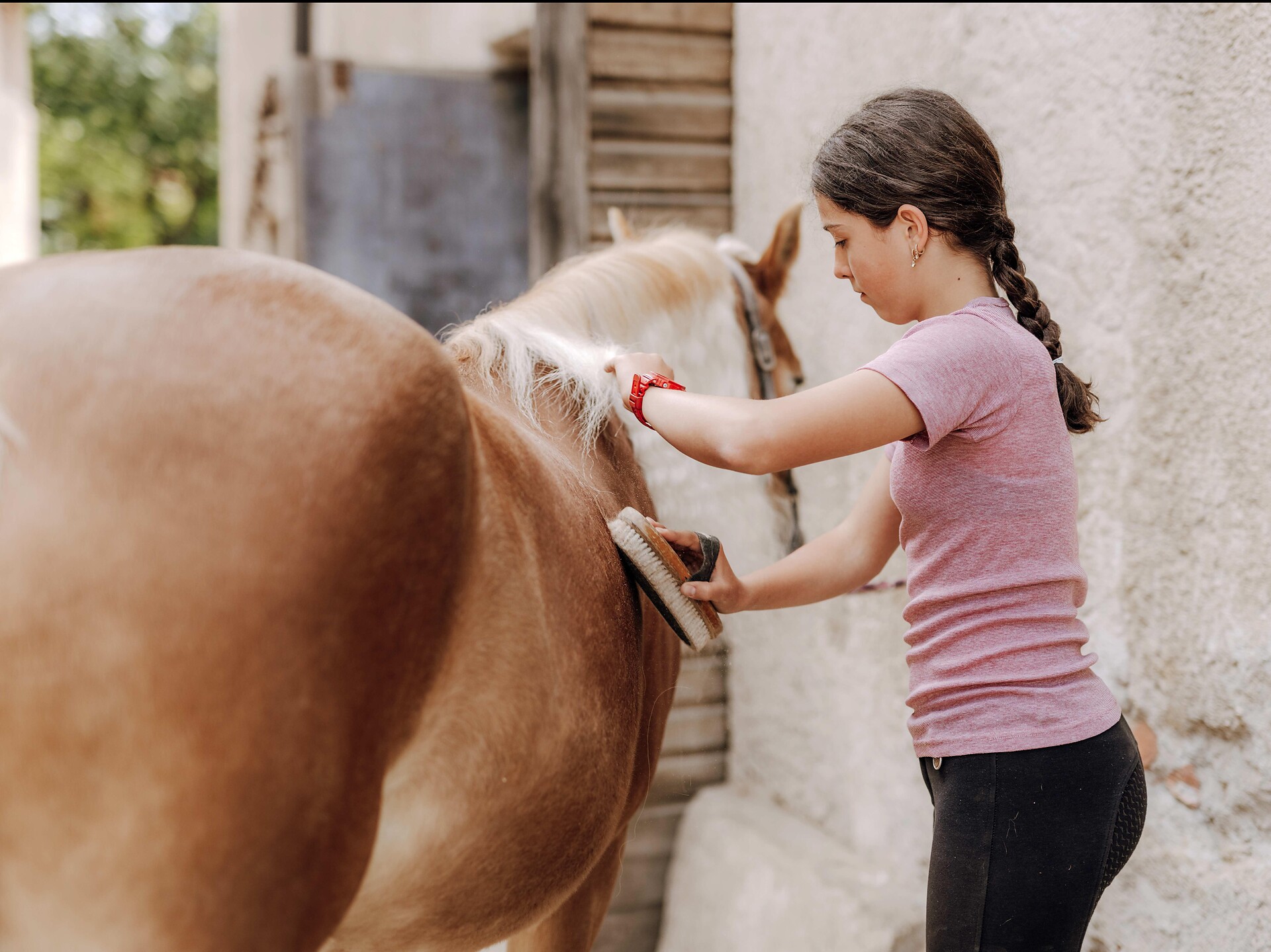Reiten in Lana und Umgebung - Meran und Umgebung - #2 - suedtirol.info