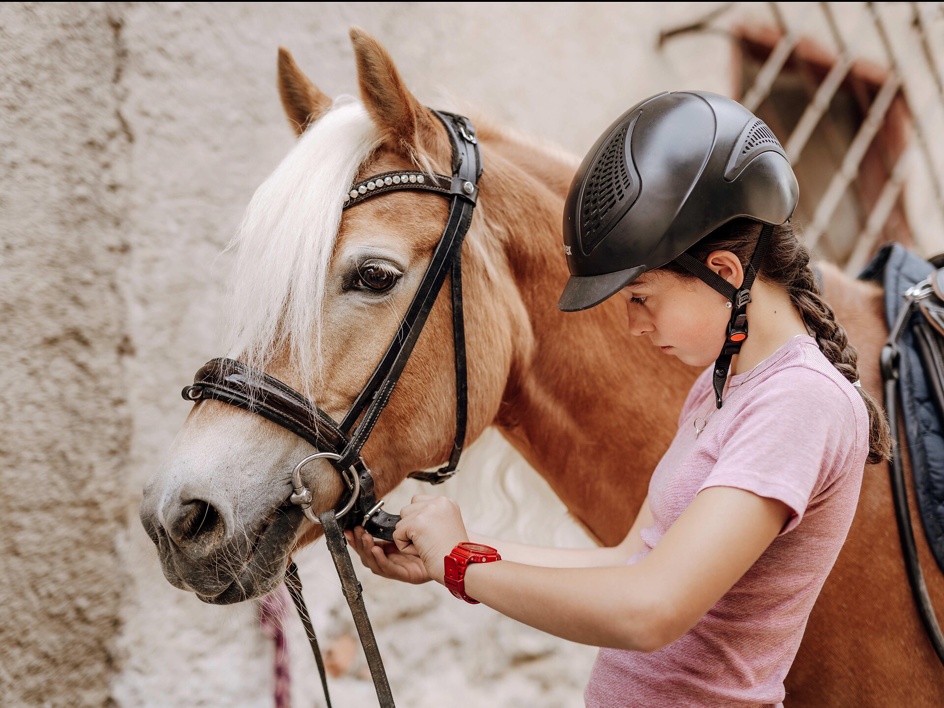 Reiten in Lana und Umgebung - Meran und Umgebung - #4 - suedtirol.info