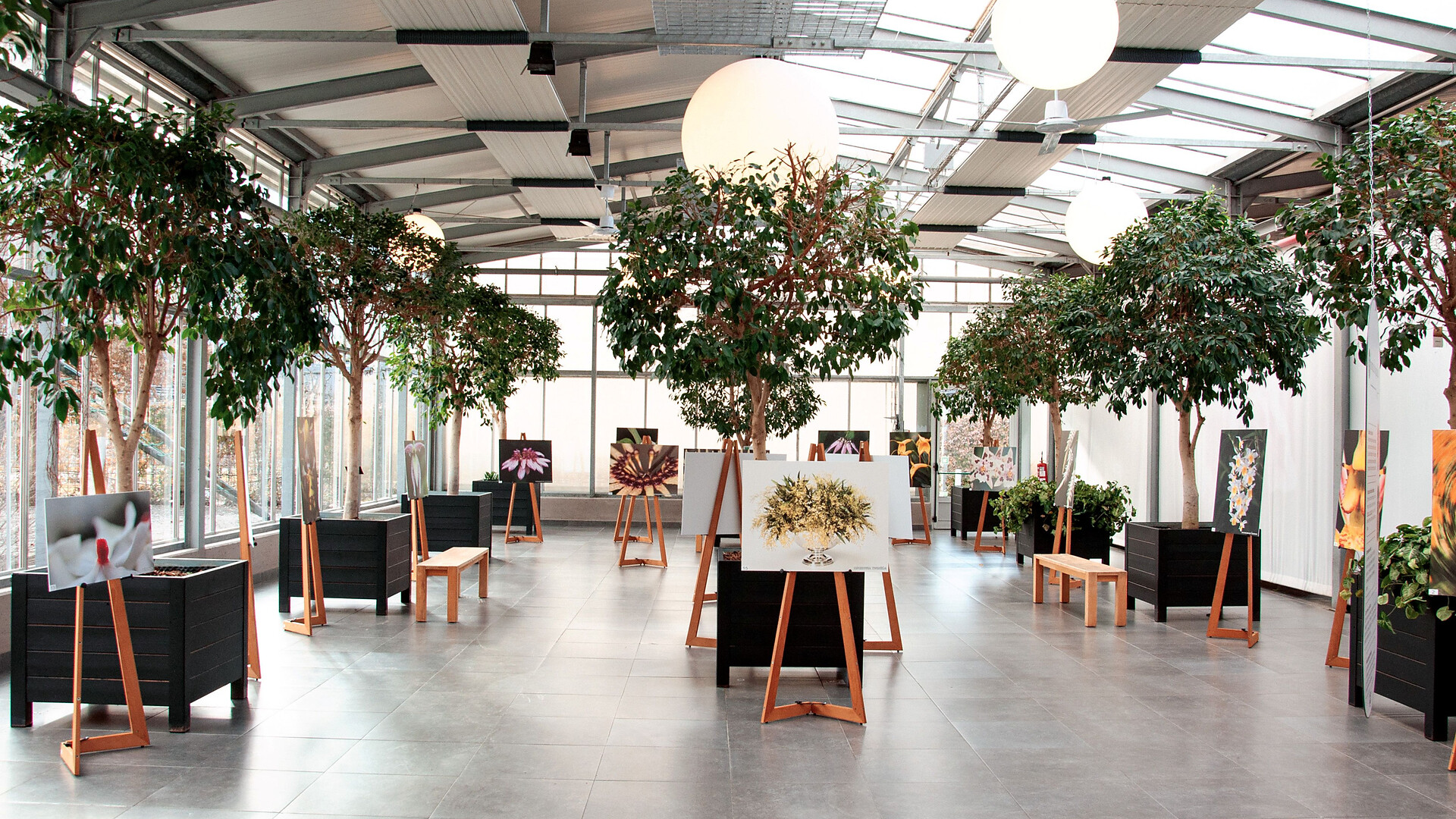 Orchid World Raffeiner - Meran/Merano and environs - #2 - suedtirol.info