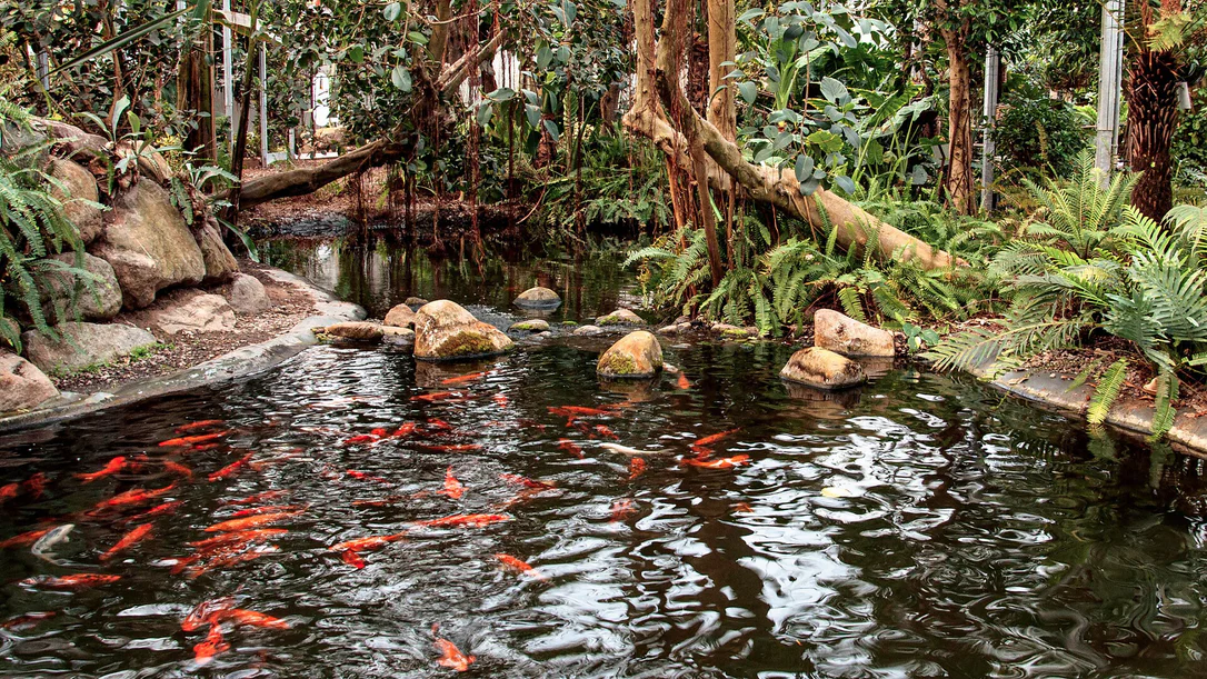 Raffeiner Orchideenwelt