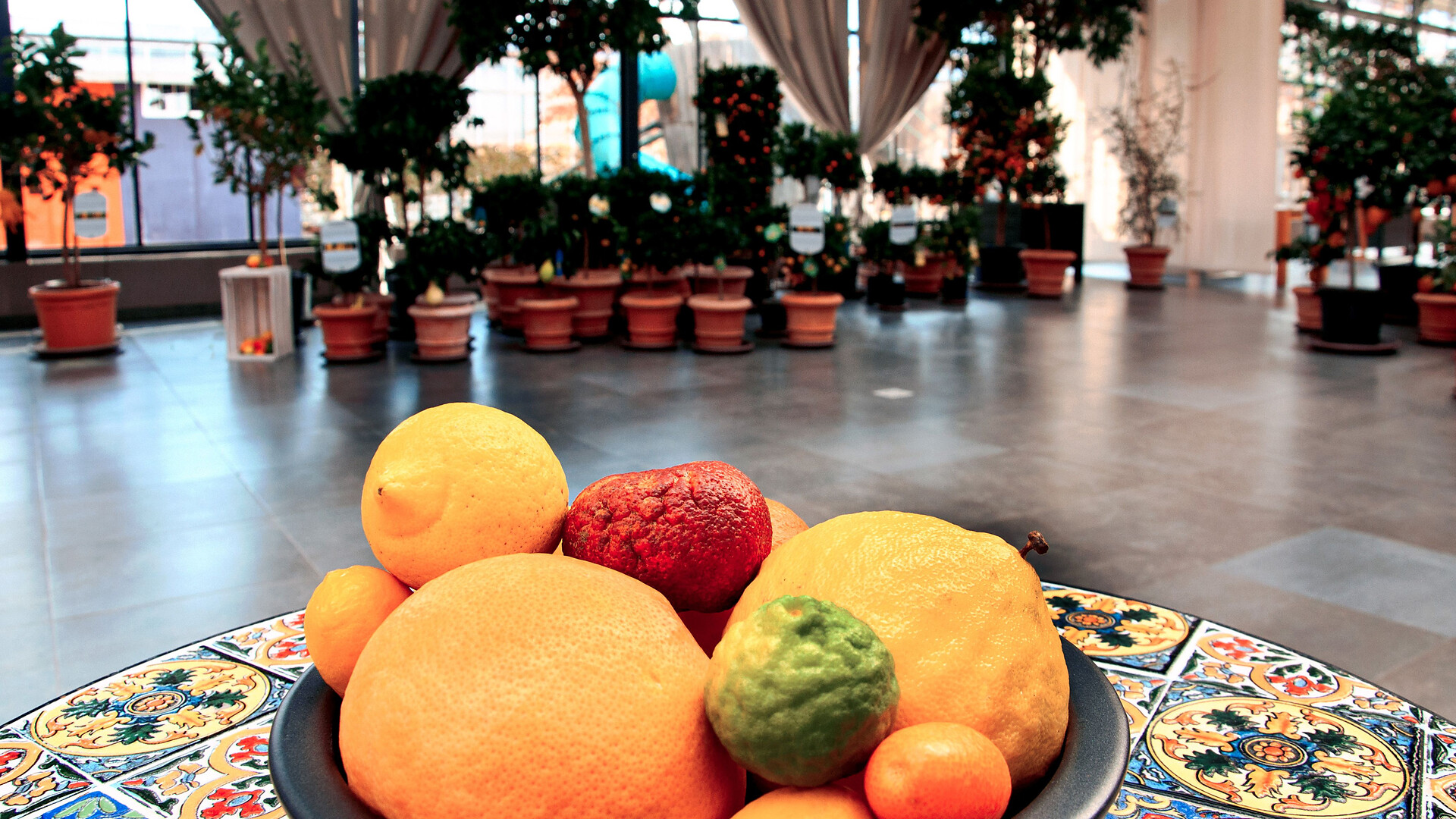 Orchid World Raffeiner - Meran/Merano and environs - #2 - suedtirol.info