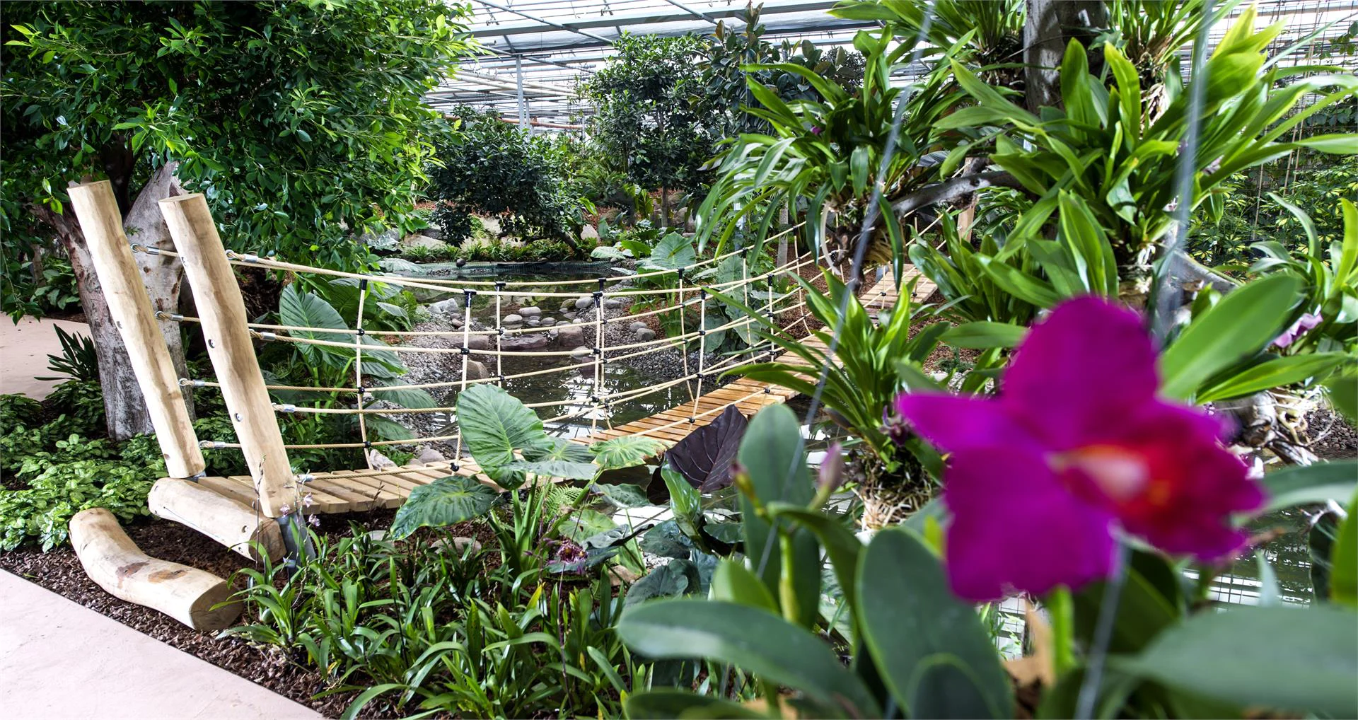 Mondo delle orchidee - floricoltura Raffeiner Gargazzone 4 suedtirol.info