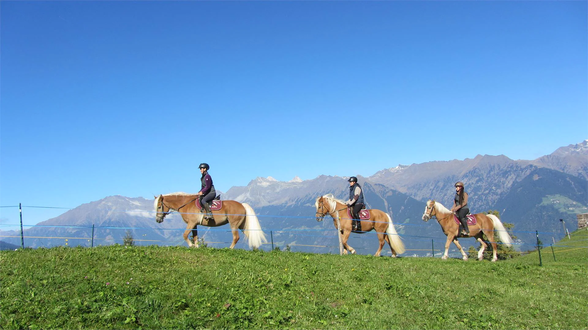 Riding stable Sulfner Hafling/Avelengo 4 suedtirol.info