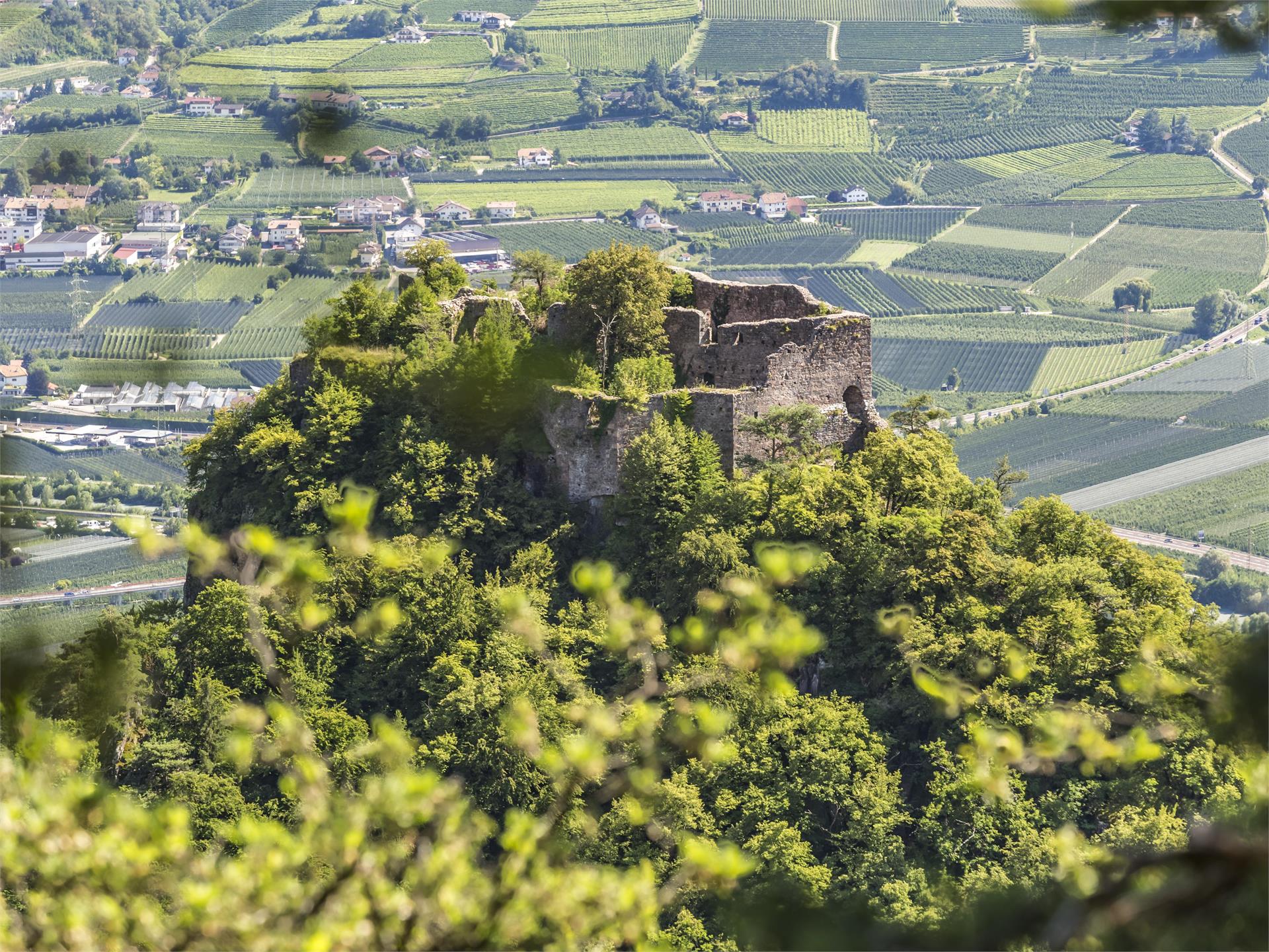 The ruins of Castle Greifenstein Jenesien/San Genesio Atesino 1 suedtirol.info