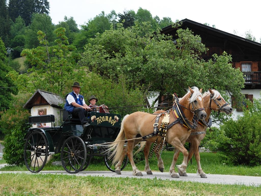 Reitstall Adamhof Sarntal 2 suedtirol.info