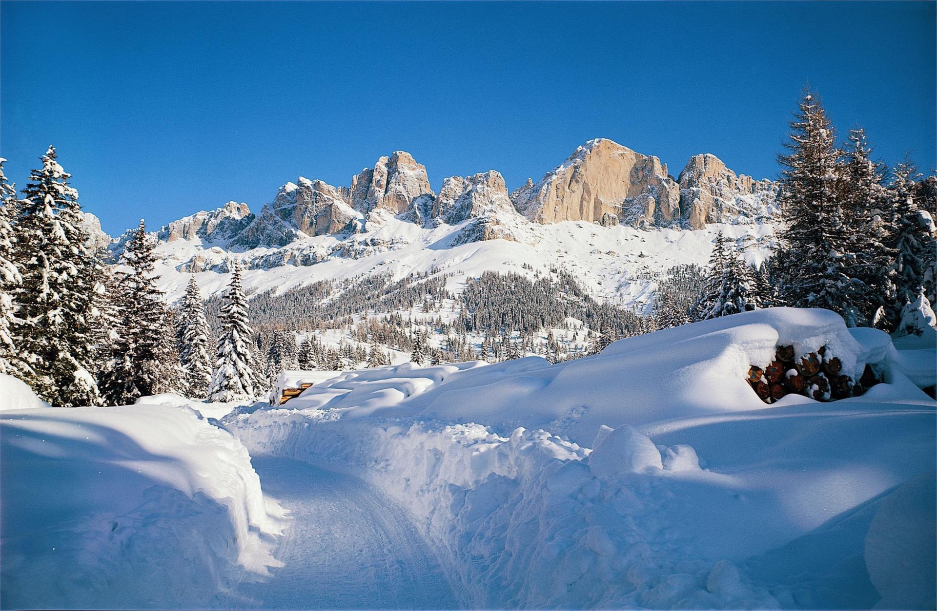 Catinaccio Nova Levante 3 suedtirol.info