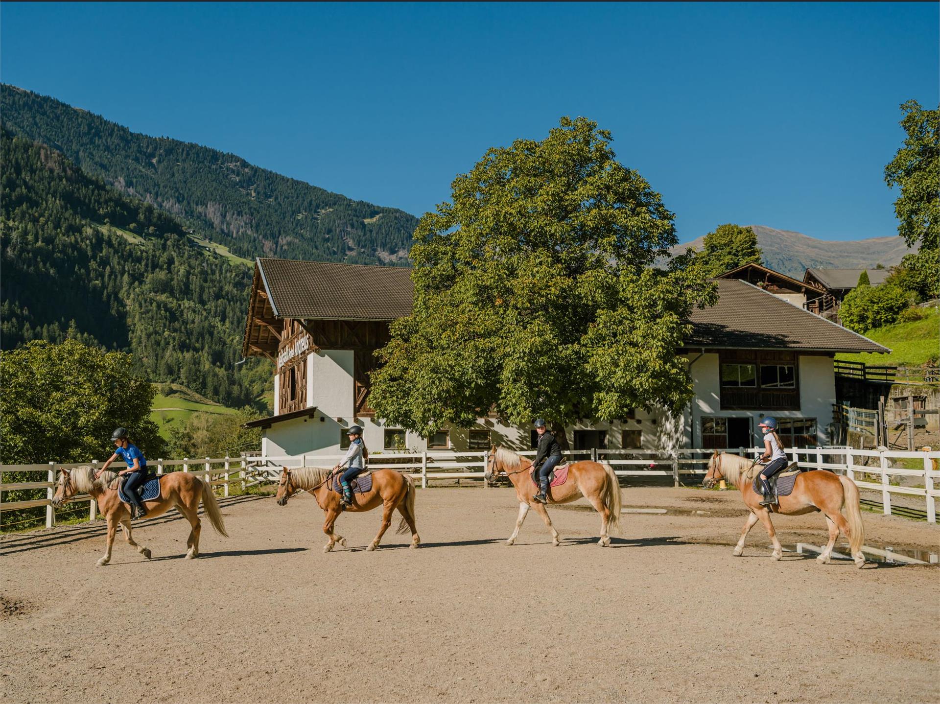 Reiten in St. Leonhard: Reitstall Andreus St.Leonhard in Passeier 4 suedtirol.info