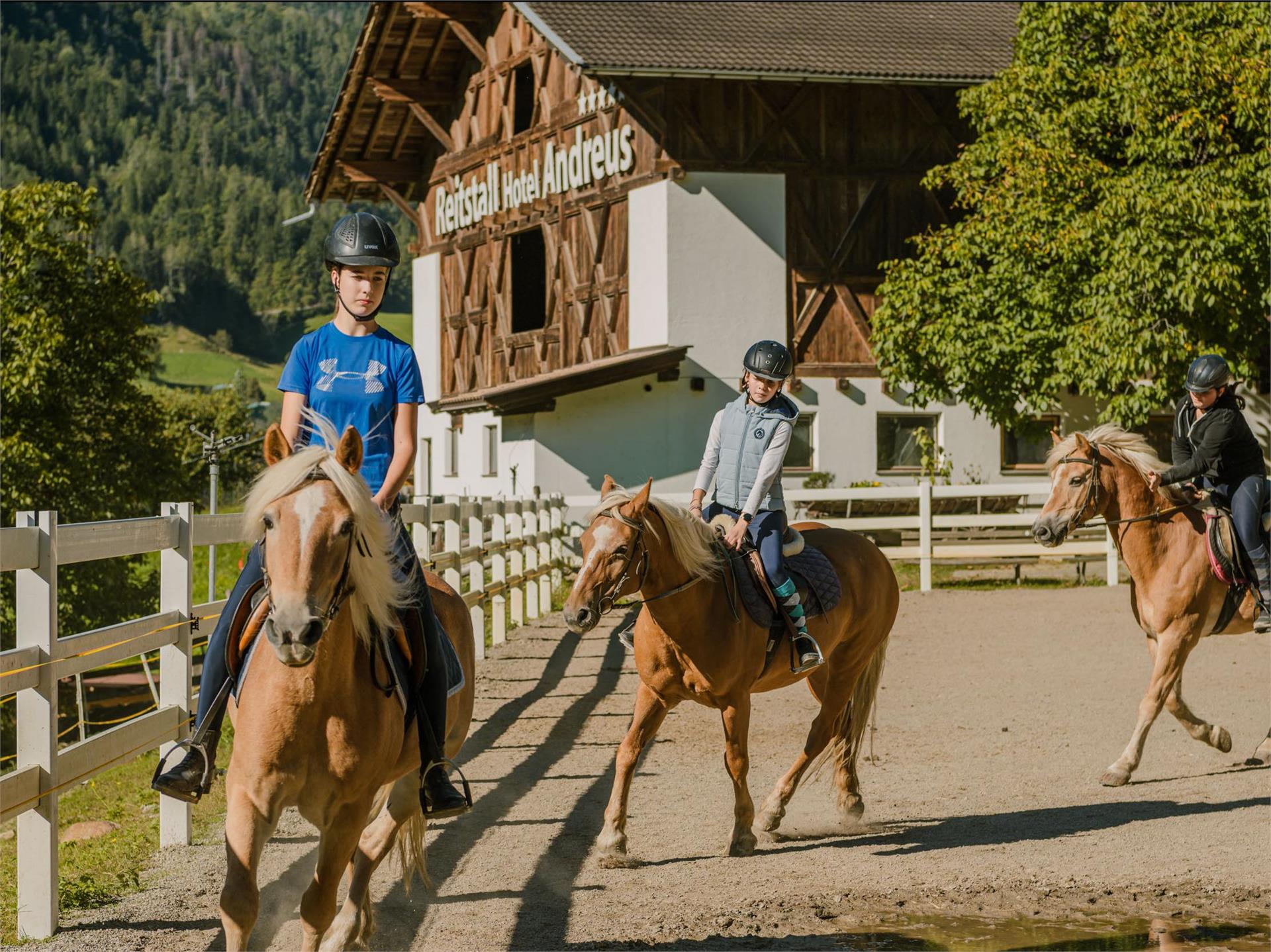 Reiten in St. Leonhard: Reitstall Andreus St.Leonhard in Passeier 2 suedtirol.info