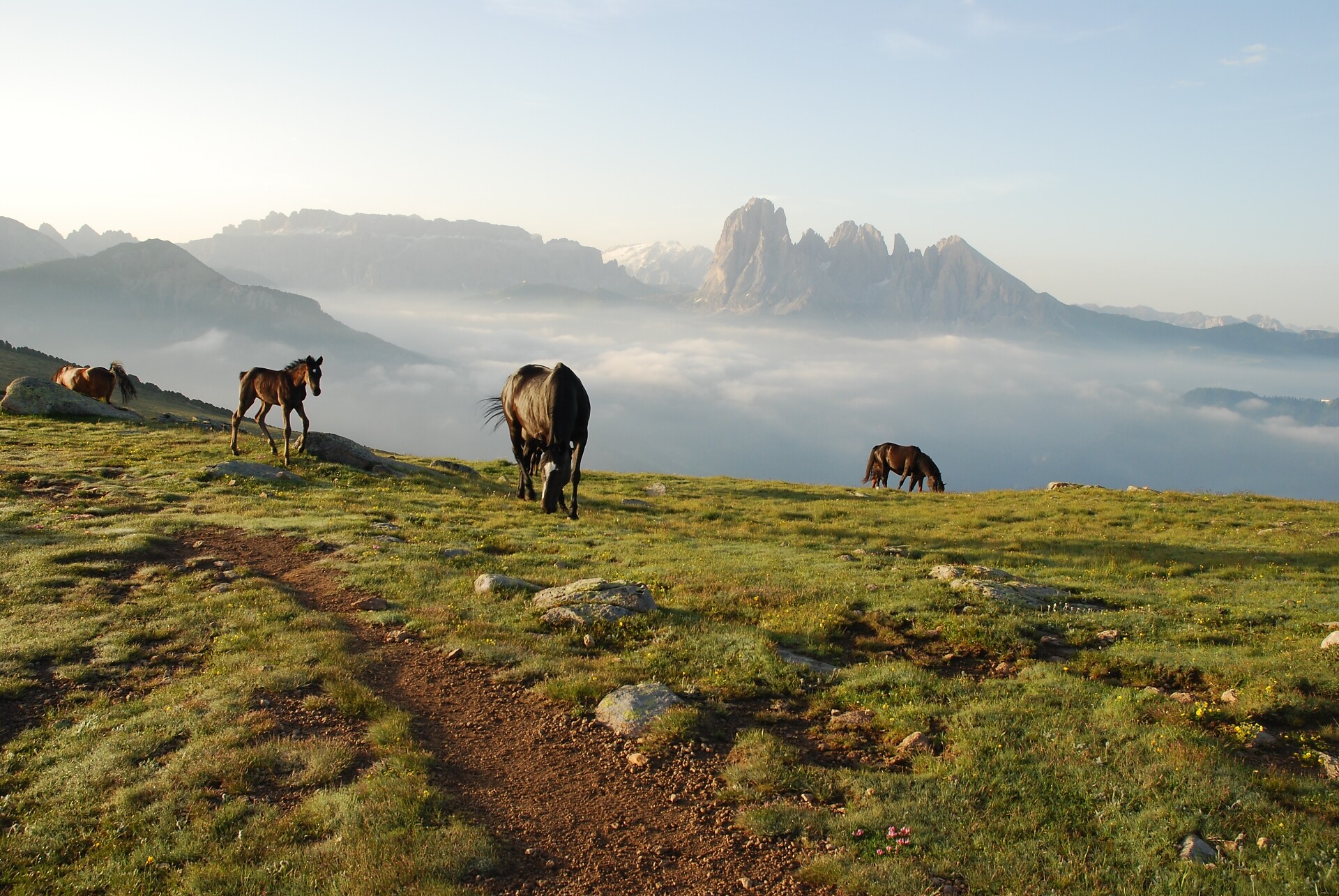 Raschötz: Teil des Dolomiten – UNESCO Welterbe St.Ulrich 1 suedtirol.info