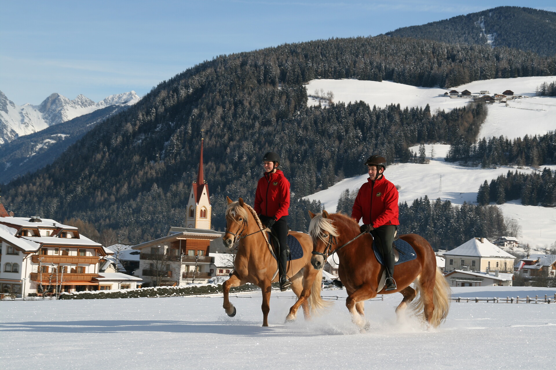 Maneggio Tolderhof Valdaora 6 suedtirol.info