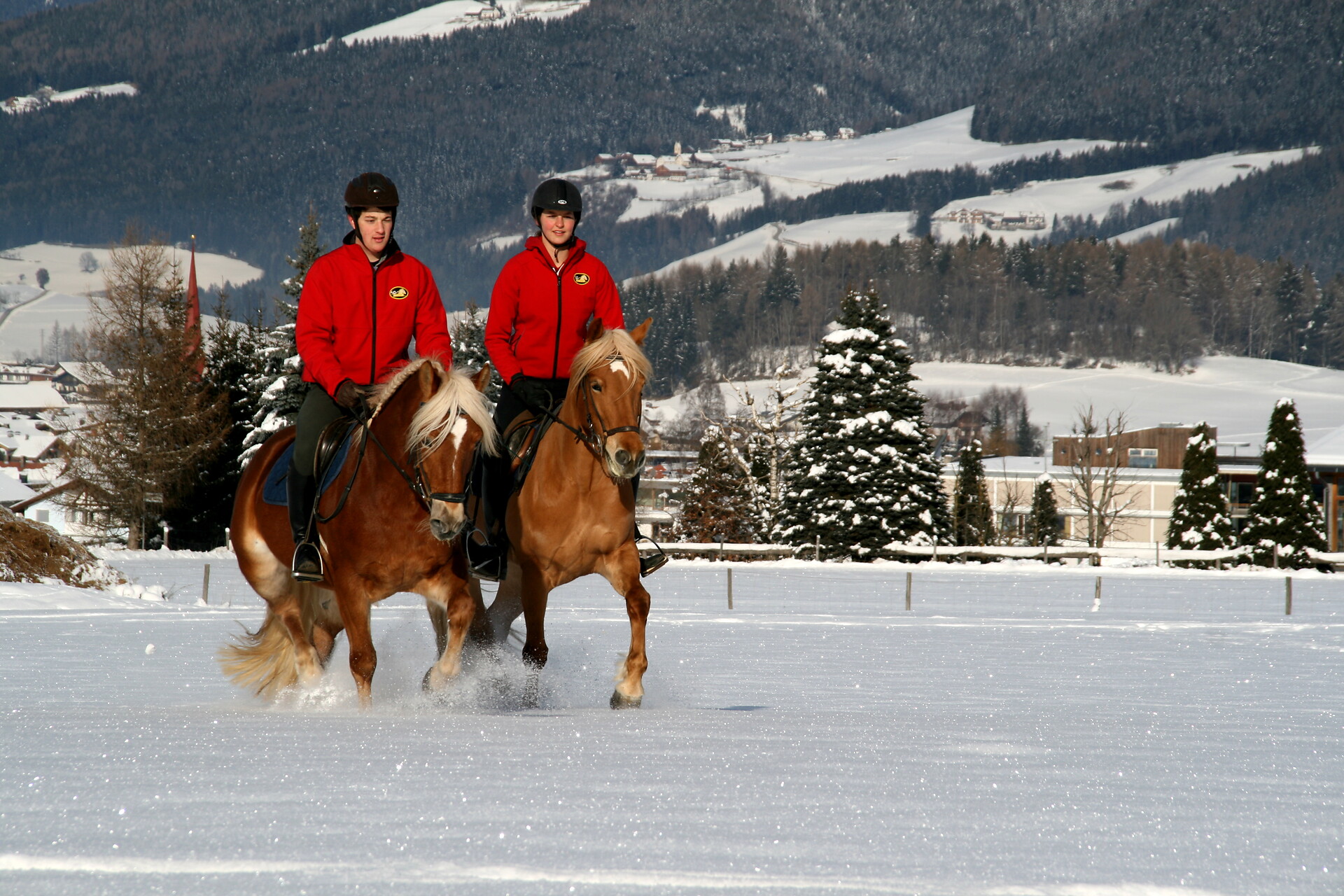 Maneggio Tolderhof Valdaora 4 suedtirol.info
