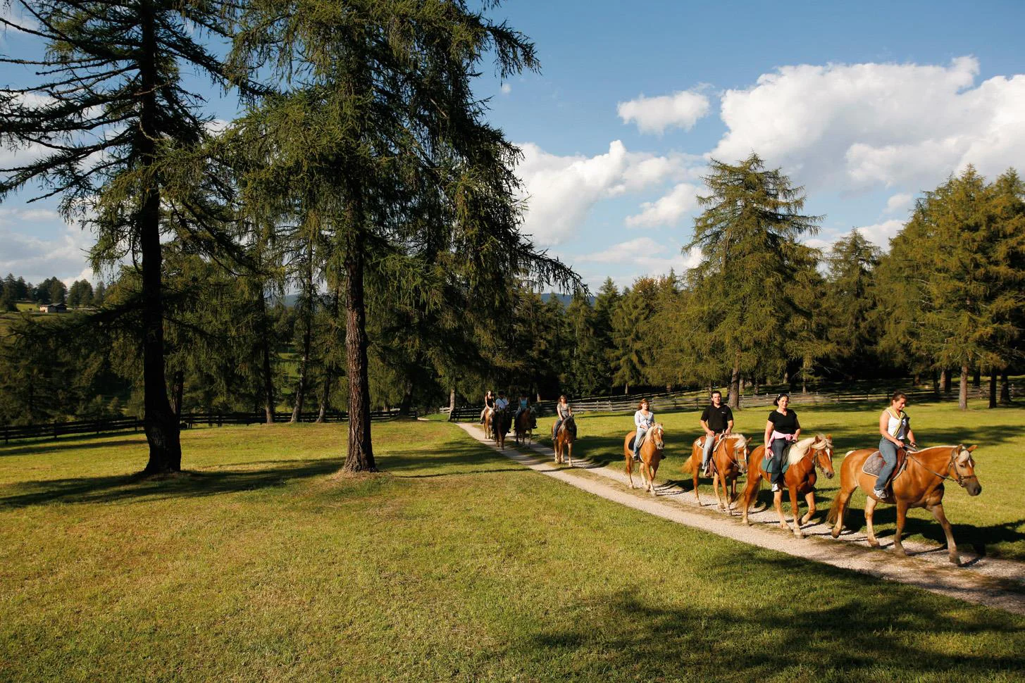 Horse farm Unterwirt Jenesien/San Genesio Atesino 2 suedtirol.info
