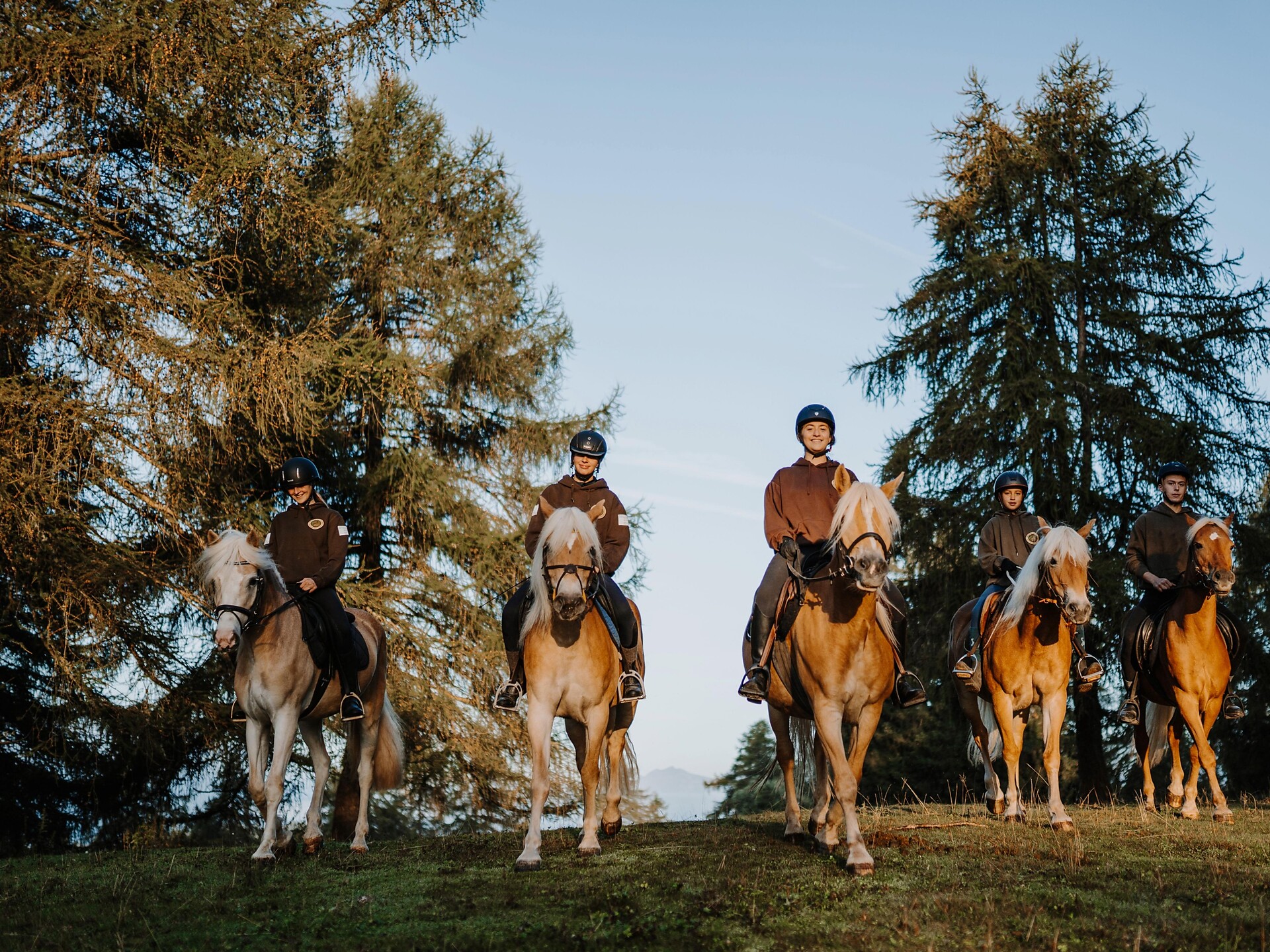 Unterwirt - Reitbetrieb - Bozen und Umgebung - #1 - suedtirol.info