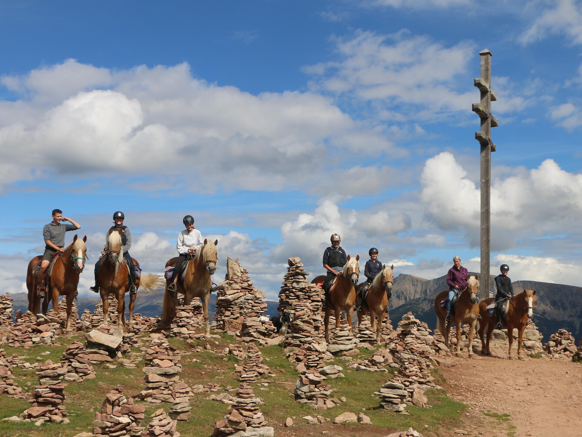 Horse farm Oberfahrerhof - Bolzano/Bozen and environs - #2 - suedtirol.info