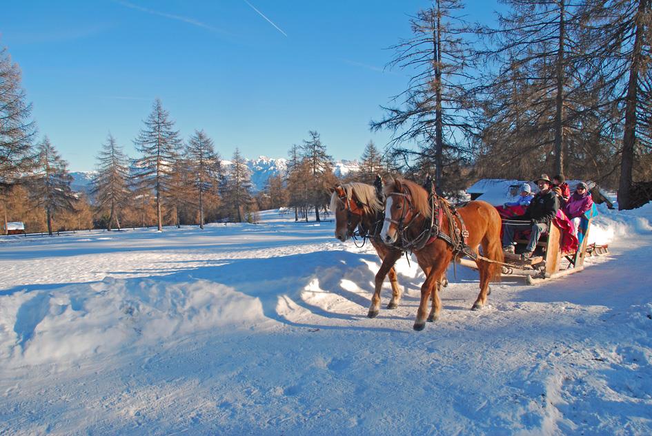 Reiterhof Oberfahrerhof Jenesien 3 suedtirol.info